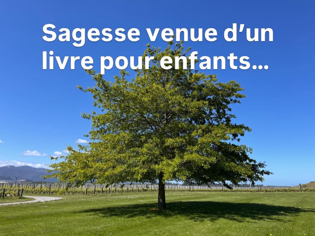 Photos de Nouvelle Zélande 🌳
1. Les Racines — ton soutien invisible
Les racines sont ce qui t’ancre, te nourrit et te connecte — même lorsque personne ne les voit.
Dans la vie réelle, cela peut être tes valeurs, les personnes qui t’ont soutenu, les croyances qui t’élèvent, ou les expériences passées qui t’ont façonné.
2. Les Branches — ce que le monde voit
Tes branches représentent la façon dont tu te présentes au monde.
Ce que tu construis, dis ou espères.
Les fruits de ton énergie.
3. Et le Tronc — c’est toi
Tu es le pont entre ce qui est caché et ce qui est exprimé.
Tu n’as pas besoin de grandir seul(e) — d’ailleurs, la nature ne fonctionne pas ainsi.
Les forêts sont fortes parce que leurs racines s’entremêlent !
Tu as le droit de t’appuyer sur les autres…
Une question à méditer :
« Si je laissais mes racines être nourries par le soutien qui m’entoure, qu’est-ce que je verrais grandir dans mes branches ? »
Même lorsque nous sommes à des kilomètres les uns des autres — comme des arbres dans une forêt — nous sommes plus connectés que nous ne le pensons.
Que tu sois dans une saison où tu fais pousser des racines, où tu déploies des branches, ou où tu te reconnectes à ton tronc (toi-même) — tu n’es pas censé(e) faire cela seul(e).
#coachingdevie #inébranlable