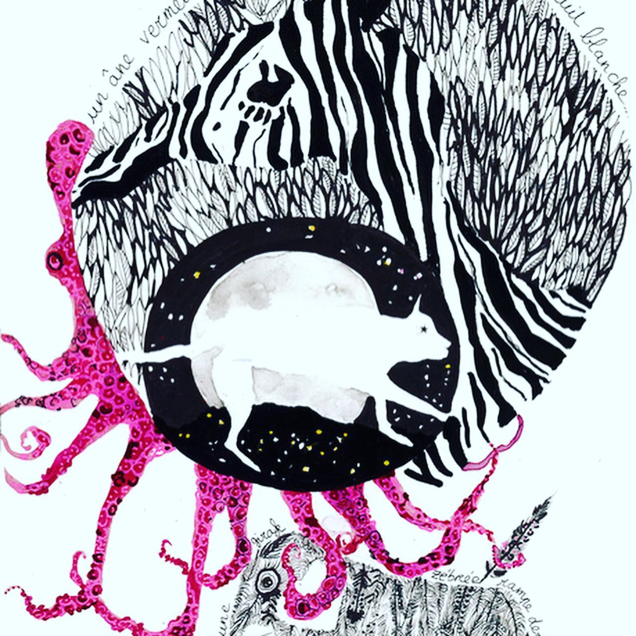 Des histoires d’une baleine qui dort dans un hamac, d’un poisson chat, d’une nuit zèbre. Minuit blanche. Minuit noir. D’un zourite à pois. D’une plume d’éléphant etc...