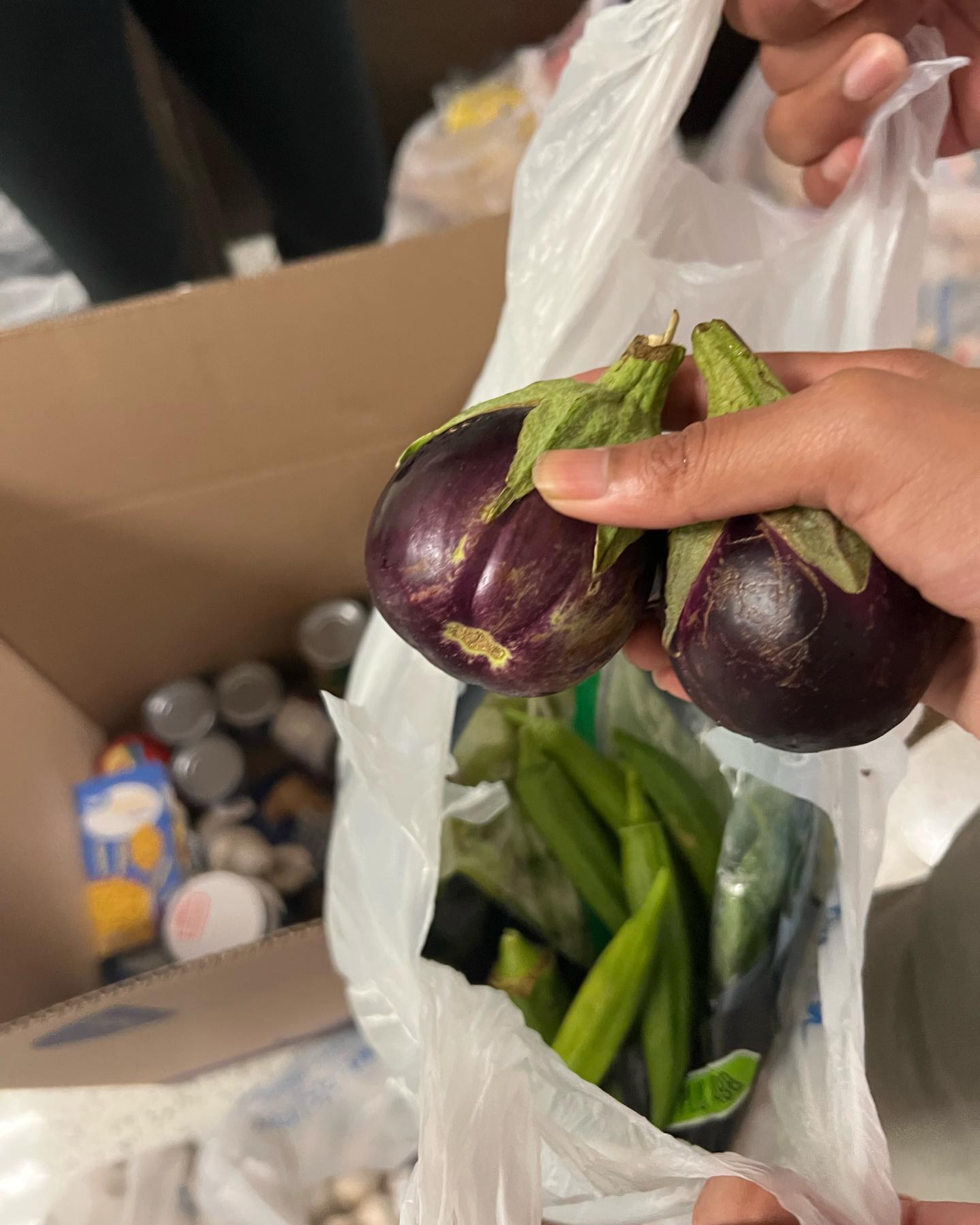 Island farmacy was able to donate fresh okra, eggplants, and basil to 30 families in the Galveston area through the Kaizen Project! Healthy nutrition and food should be accessible by all and this is a mission strongly upheld by both organizations.