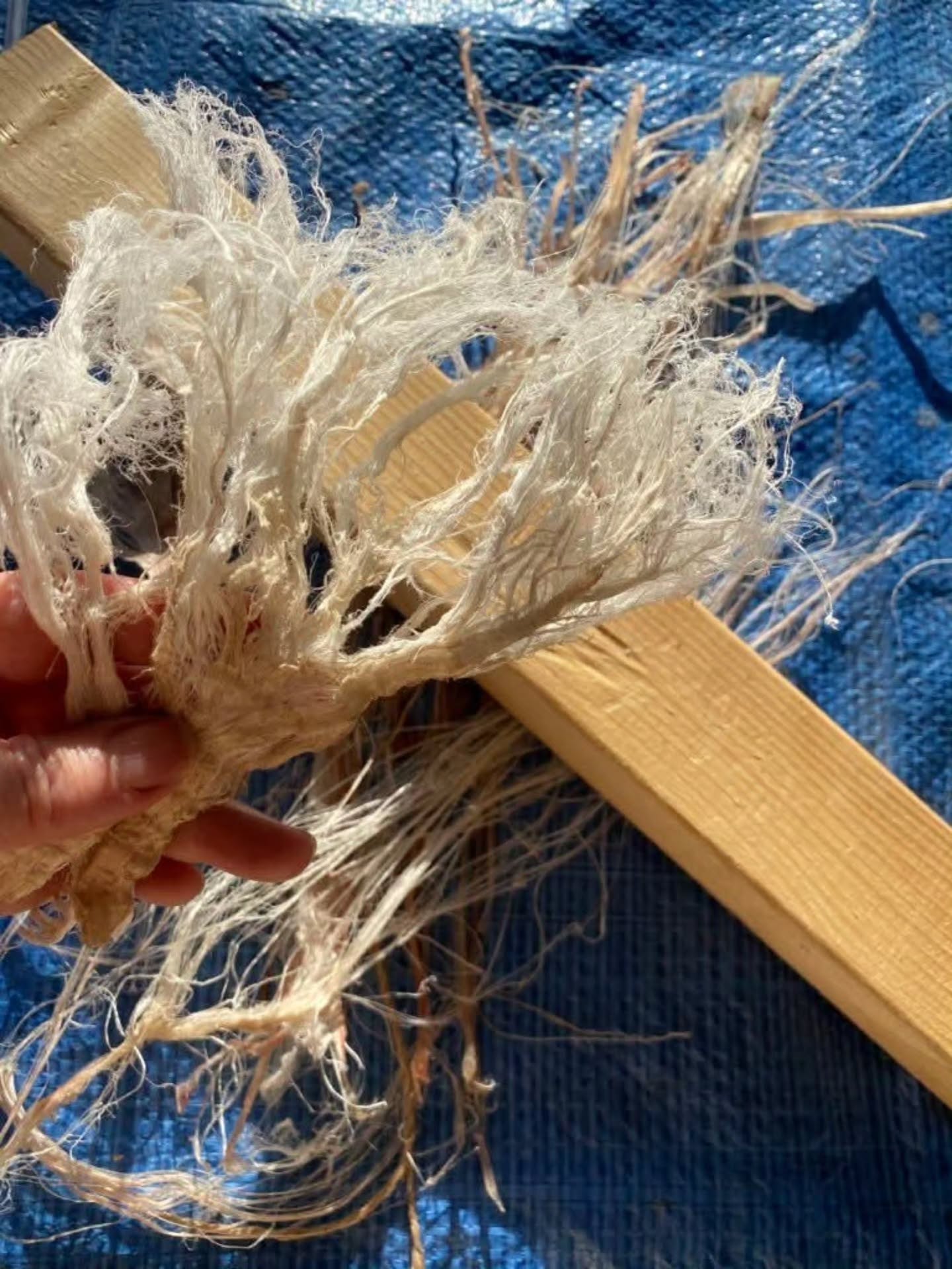 𝗨𝘀𝗶𝗻𝗴 𝘁𝗵𝗲 𝗪𝗵𝗼𝗹𝗲 𝗔𝗻𝗶𝗺𝗮𝗹: Deer Butchery & Processing for Utilitarian and Craft items in Kannapolis, North Carolina. With Theresa Emmerich Kamper and our amazing host, Douglas S. Meyer from Season 12 of ALONE ! 🌿
𝗪𝗵𝗲𝗻: May 1- 3
𝗣𝗿𝗶𝗰𝗲: $330
𝗟𝗼𝗰𝗮𝘁𝗶𝗼𝗻: Kannapolis, North Carolina
This course focuses on utilizing every part of an animal, from teeth to tail and hooves to hides. We’ll cover everything from basic food butchery to making what's often considered "waste" into functional tools and materials. And of course, we will make and enjoy amazing food based around the animal!
𝗜𝘁’𝘀 𝗮𝗯𝗼𝘂𝘁 𝗹𝗲𝗮𝗿𝗻𝗶𝗻𝗴 𝘁𝗼 𝘃𝗮𝗹𝘂𝗲 the whole animal and ensuring less is thrown away!
𝗦𝗼𝗺𝗲 𝗼𝗳 𝘄𝗵𝗮𝘁 𝘄𝗲 𝘄𝗶𝗹𝗹 𝗰𝗼𝘃𝗲𝗿:
🌿 Meat & Organs:
🌿 Bones & Antlers:
🌿 Skin & Sinew:
🌿 Fat & Hooves:
This course is truly information overload, and both myself and Doug will have an extensive collection of replica tools and craft items to share with you to inspire your creativity. You’ll leave with a wide range of skills, knowledge, and the confidence to process animals on your own.
Come learn things you never knew you never knew!
𝗧𝗵𝗲𝗿𝗲 𝗮𝗿𝗲 𝘀𝗶𝘅 𝘀𝗽𝗼𝘁𝘀 𝗹𝗲𝗳𝘁. Check out the link in the comments for all the details. 👇
#selfsufficiency #Bushcraft #WholeAnimalbutchery #theresaemmerichkamper #aloneonhistory