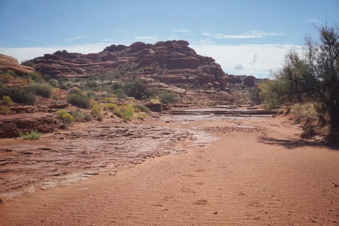 Hayduke Day 5 || Indian Creek to Needles Outpost
After the craziness of last night, today went pretty smoothly. The route climbed up a cliff wall out of Indian Creek and up to the higher rock bands where it contoured fairly level along the edge of some big rock features. At times there was even a footpath to follow, at least until everyone's steps split up again to find their own way down the next cliff band. Whenever I'd see a set of footprints ahead of me I'd instantly feel a sense of comradery with that likeminded hiker who may have passed through months or even years ago.
The route dropped into another canyon, which featured a surprise water source to cool off and top up! And quickly clog the filter, but that's nothing new. Soon i climbed up out of that wash and hit jeep roads which would bring me to the desert oasis of Needles Outpost, a small campground just outside the bounds of Canyon lands National Park. Showers, wifi, a small store, and a decent hiker box gave me all I needed to recharge and continue on tomorrow into the park.
#thruhike