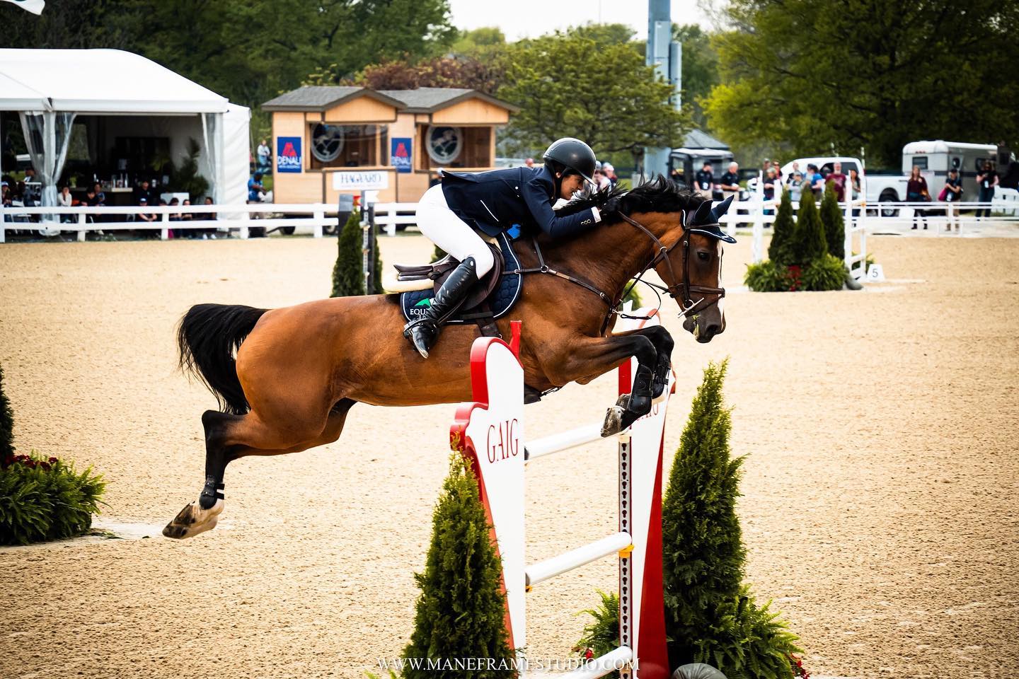 Ireland’s Conor Swail claimed victory aboard Casturano (0/40.96) in a thrilling competition Saturday night at the Kentucky CSI4* Invitational Grand Prix, partnered with Split Rock Jumping Tour, and presented by Hagyard Equine Medical Institute. Egypt’s Nayel Nassar secured second place with Igor Van De Wittemoere (0/41.48), while Charlotte Jacobs from the USA took third place riding Rincoola Milsean (0/42.39).
— You can find the photographs from the Grand Prix available for viewing on my website. However, please note that these images were captured on assignment and are not available for purchase.
#EquinePhotographer #equestrian #photography, equine photographer, equestrian photographer, horse photographer, horse photography, equestrian portraits, horse events, portrait photographer, equestrian reels, photographer