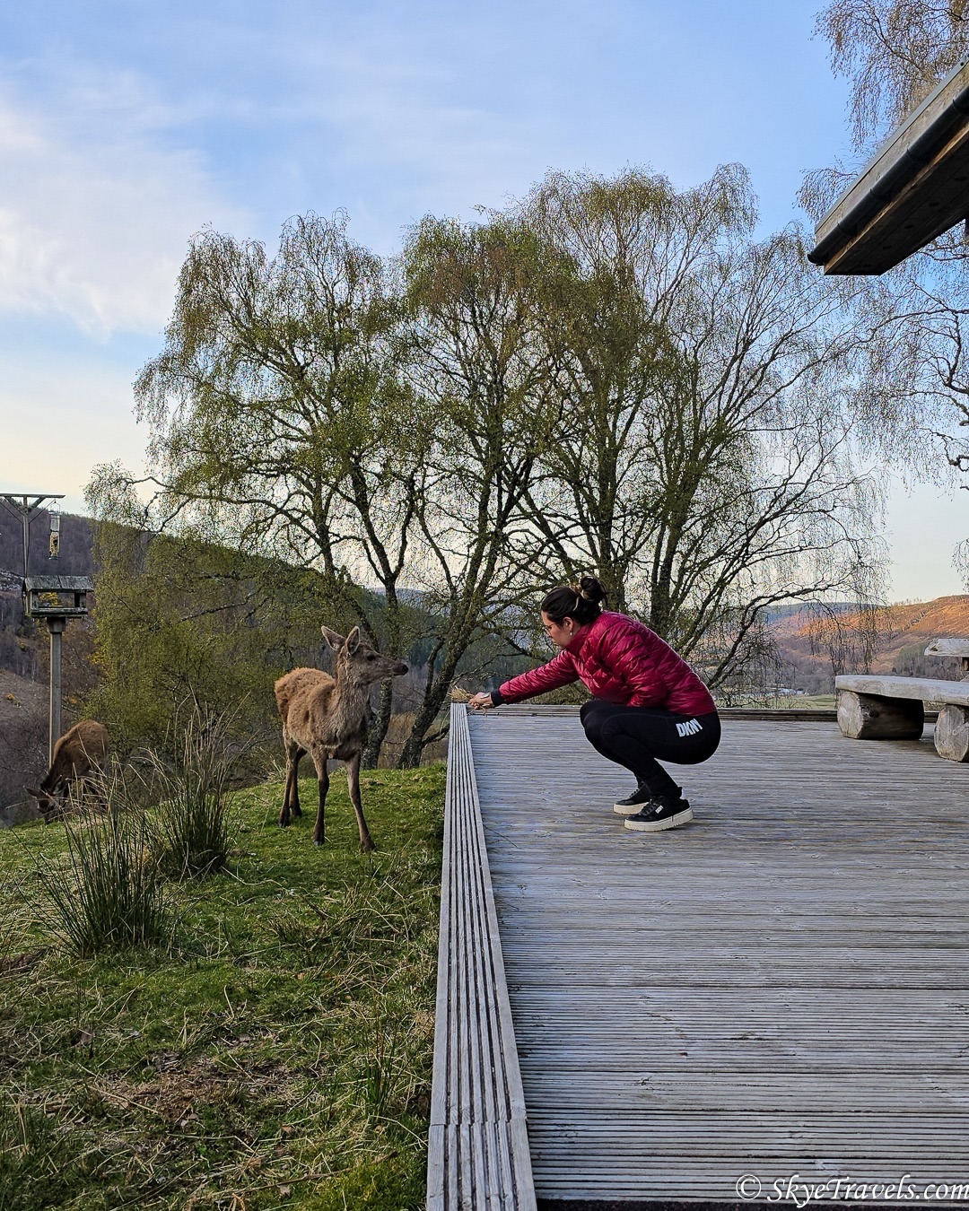 We loved working with Skye @skyetravels, helping her land a dream collab 🤍
Ready to grow your page and secure partnerships? Send us a DM 📩
#pipcreators