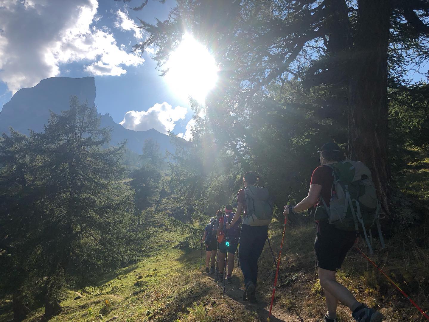 Dernières images de cet été 2023 riche en soleil, paysages, sentiers, animaux et petits détails 💚 (3/3). Place maintenant à l’automne et à ses chaudes lumières 🍁🥾
#nature #rando #swissalps #accompagnatriceenmontagne #moutainleader #kulkatrek