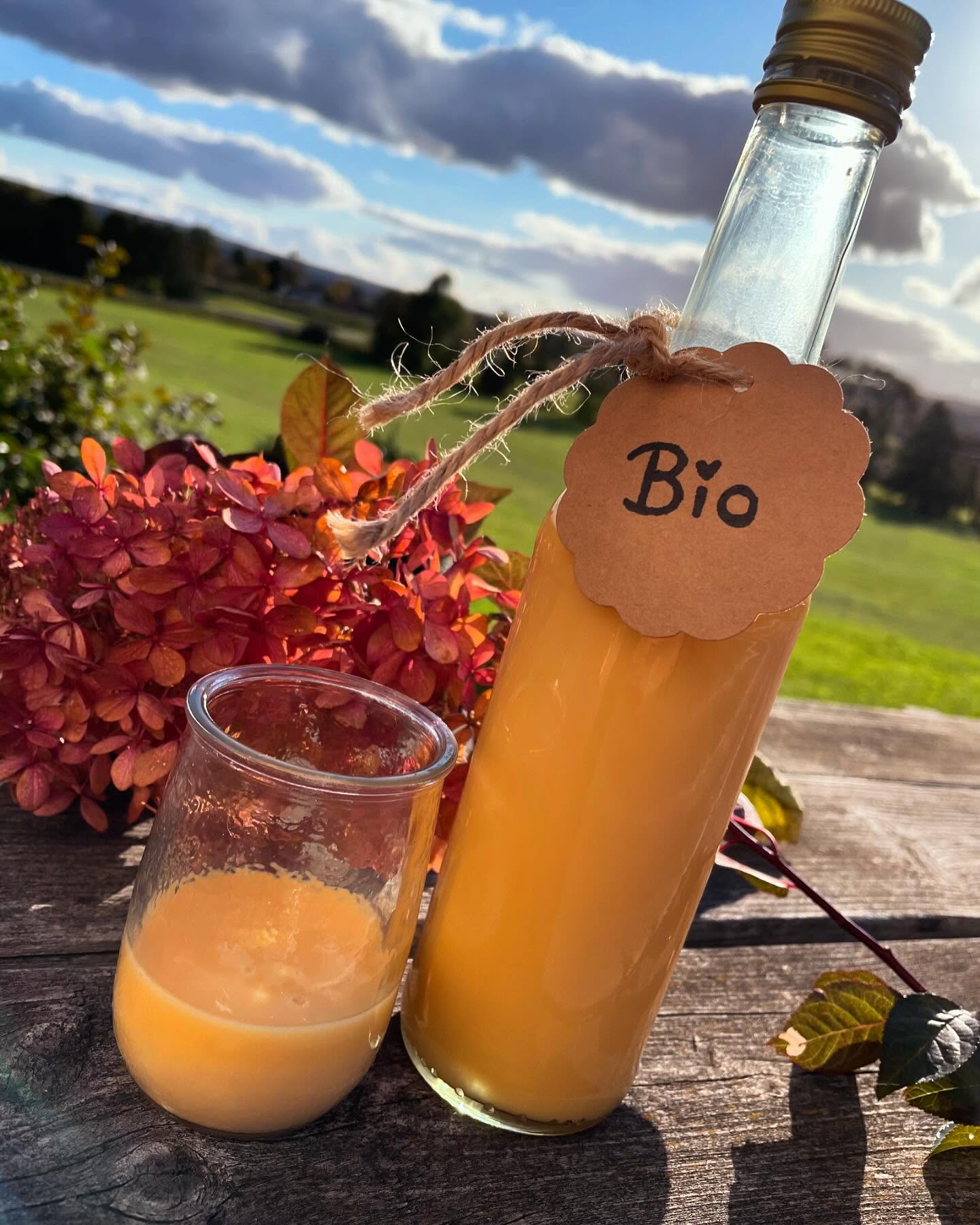 Bio-Eierlikör? Oh yes! ✨#zertifiziert
Ab sofort verarbeiten wir eure Bio-Eier zu unserem beliebten Hof.Genuss-Eierlikör in kompromissloser Bio-Qualität! 🌱 #nudelmanufaktur #bio #hochgenuss #bioeierlikör #hofgenuss #bioqualität #genialregional #bioeier #eierlikör #handmade #dassel #genuss #lecker #qualitätdiemanschmeckt