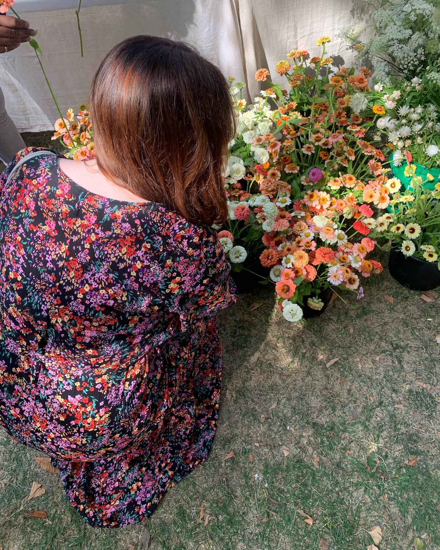 My reach on IG is being censored because of a story I shared back in Feb. As a small business owner, my marketing options are limited, and simply put, this sucks. I often feel that IG becomes a time suck in my life, and if I’m being limited in my reach, I am better off investing my time elsewhere. If anyone can offer any insight as to when these restrictions will be lifted, or what I can do to fix this, I am all ears.
Pic from 2022 @torontoflowermarket with @studioingenue 🧡