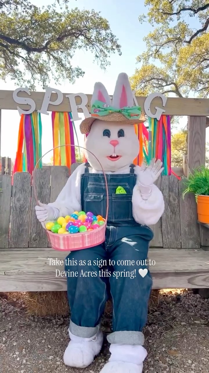 Spring at Devine kicks off in a little over 1 week! Set your alarm for our FLASH SALE going live next Monday at 8am! 🌷🎟️
Check out all the fun:
🐰 Easter bunny visits
🥚 Egg hunts
🎣 The best attractions
🍔 Delicous food & drinks
📸The cutest photo ops
🌸 Bouquet bar
✨And so much more!
Season runs: March 28, 29, April 3, 4