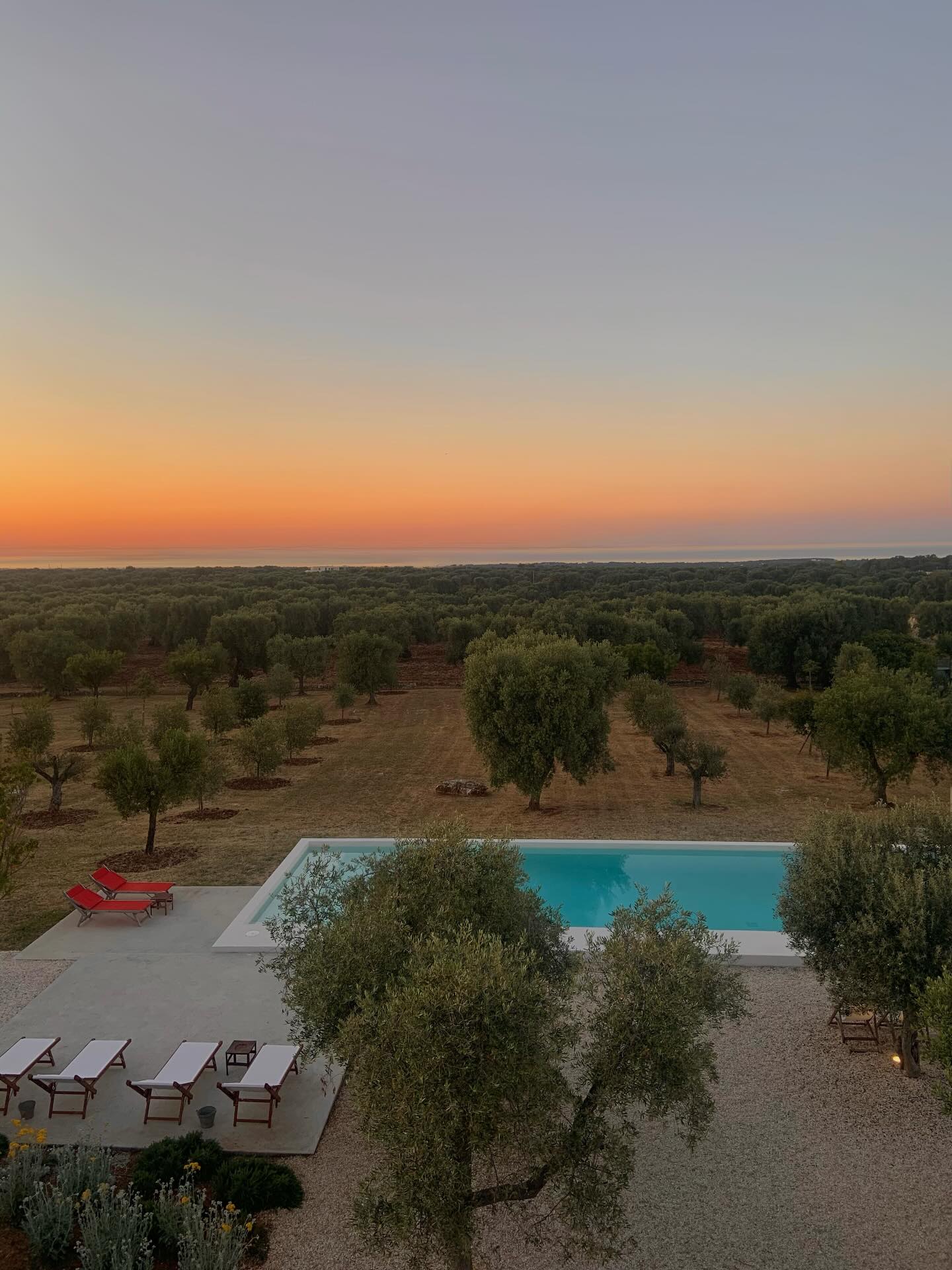 back in Puglia in a few weeks 🤍 @masseriamoroseta
.
.
#igitalia #igpuglia #apulia #ostuni #howitalyfeels