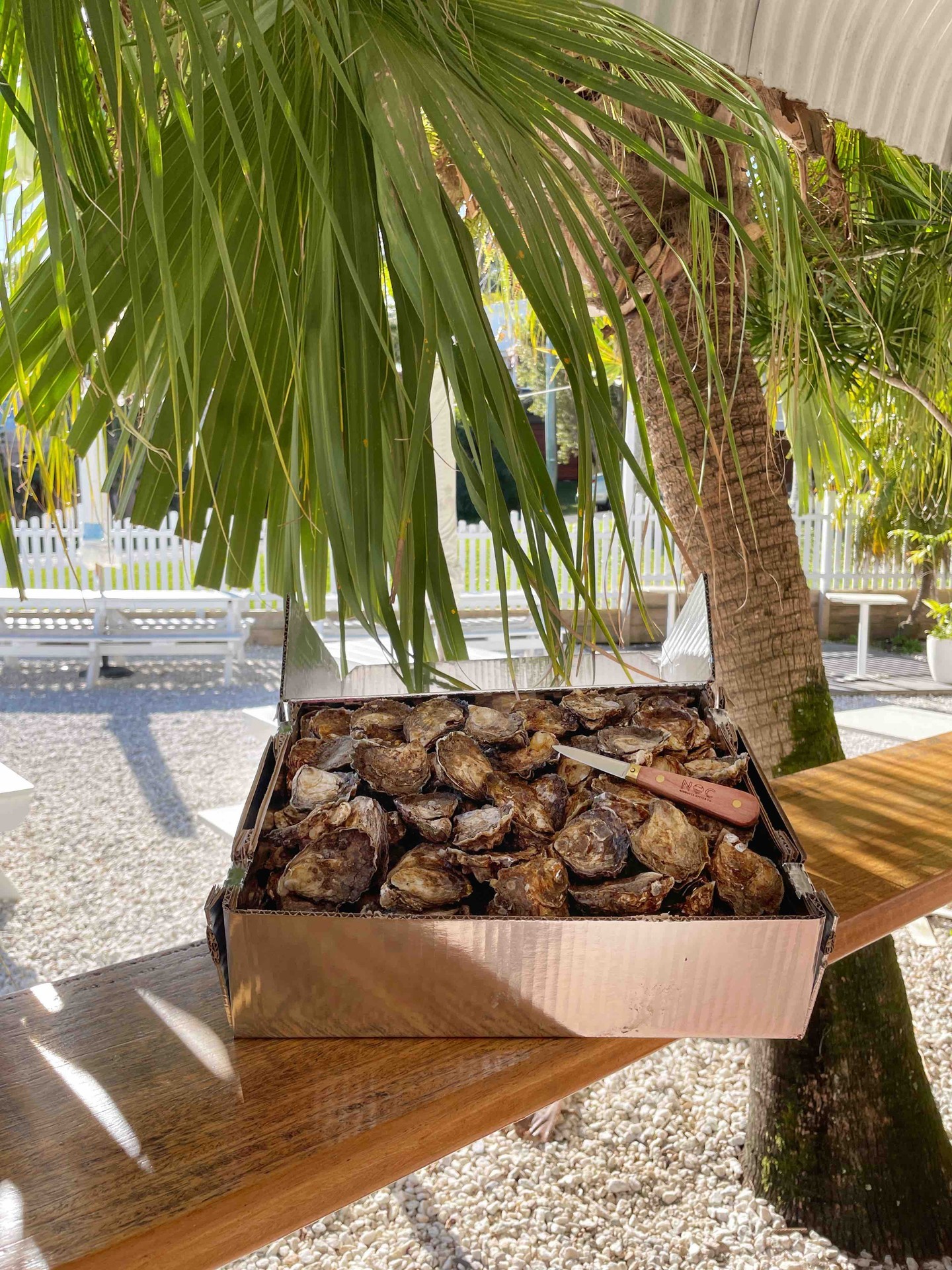 From the river to the restaurant Nambucca Oyster Co. know a thing or two about quality and freshness.
Proudly serving these briny bivalves straight to your table from the pristine waters of the Nambucca River while you relax alongside it.
Stroll on over,
Thursday- Friday 5-late
Saturday-Sunday 12-late