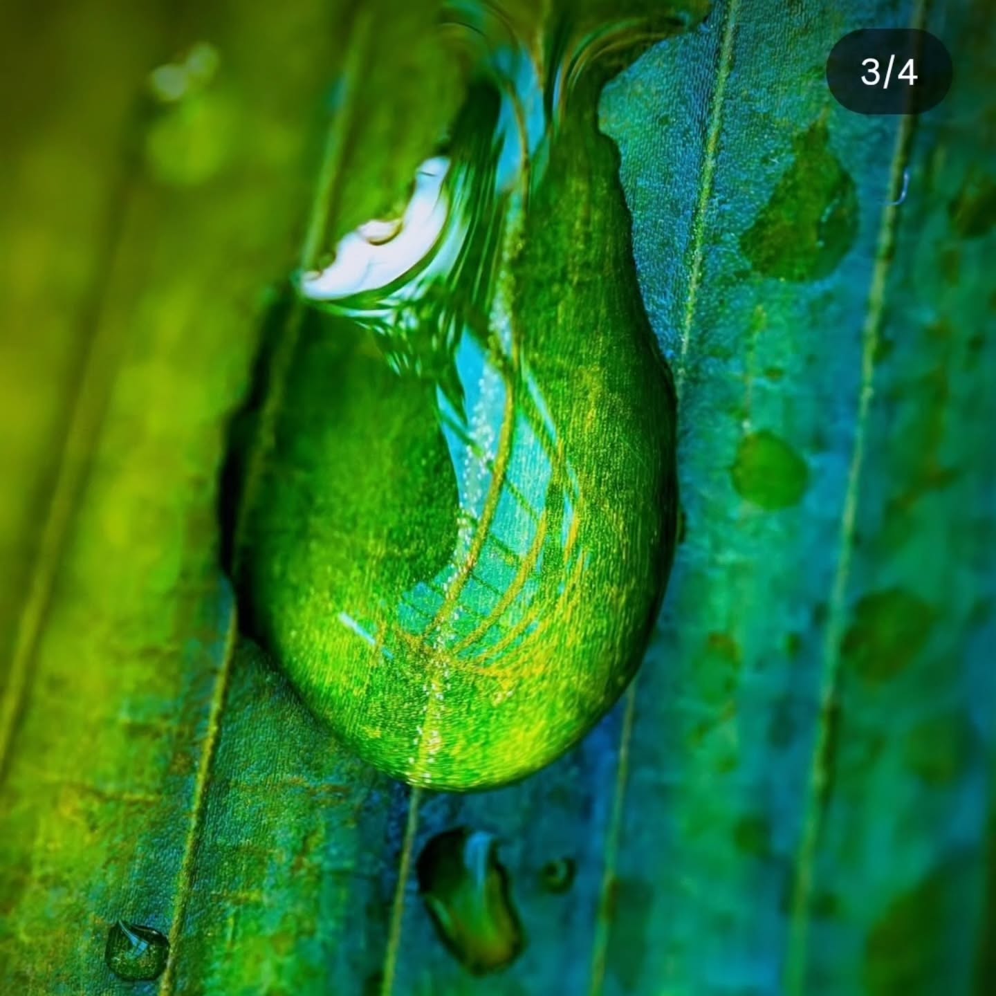Zoom in. Do you find it effortless or challenging?
Tuning into the nuances: the sound, the silence, the movement.
Adopting these stunning shots from # Des Moines Botanical Gardens, my next stop in April.
Showcasing the gentle might of
B R E A T H W O R K
For life's every moment.
Old or young
Beginner breather or experienced in intentional breathing.
Join Us.
Bookings via the Botanical Garden for 1st, 15th, 29th April.