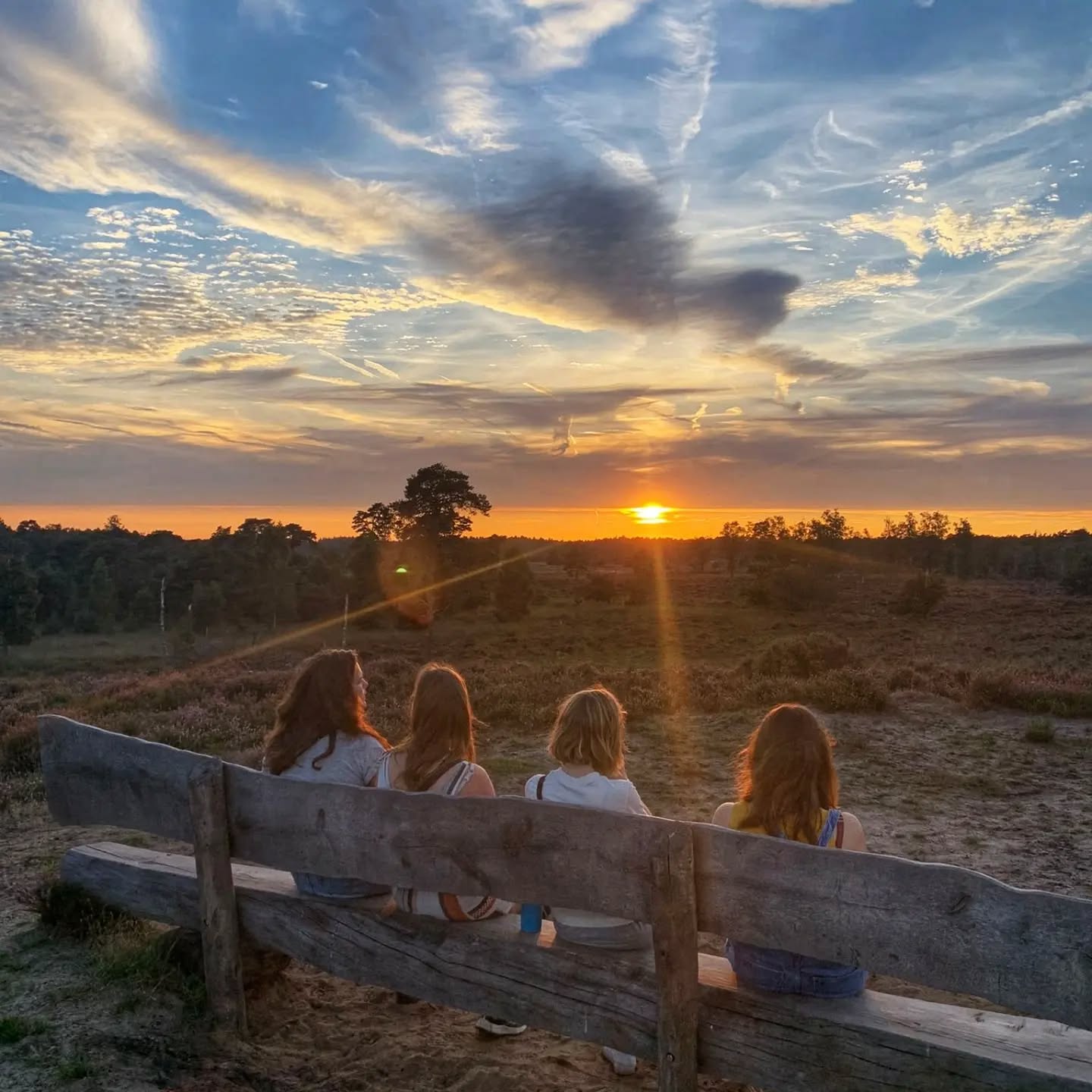 Van die wandelingen waar je hart warm van wordt. 🧡
Wandelpad Mier gaat door bos, heide en zandvlaktes. De gouden lucht kregen we er gratis bij. Het was er zo rustig: we kwamen op heel de wandeling 2 fietsers en 1 loper tegen.
🥾 6.5km /1.5u
🐕 Honden toegelaten
📍 Start: 1e Verdelingsweg 6, 4645 RT Putte, Nederland
@grensparkkalmthoutseheide