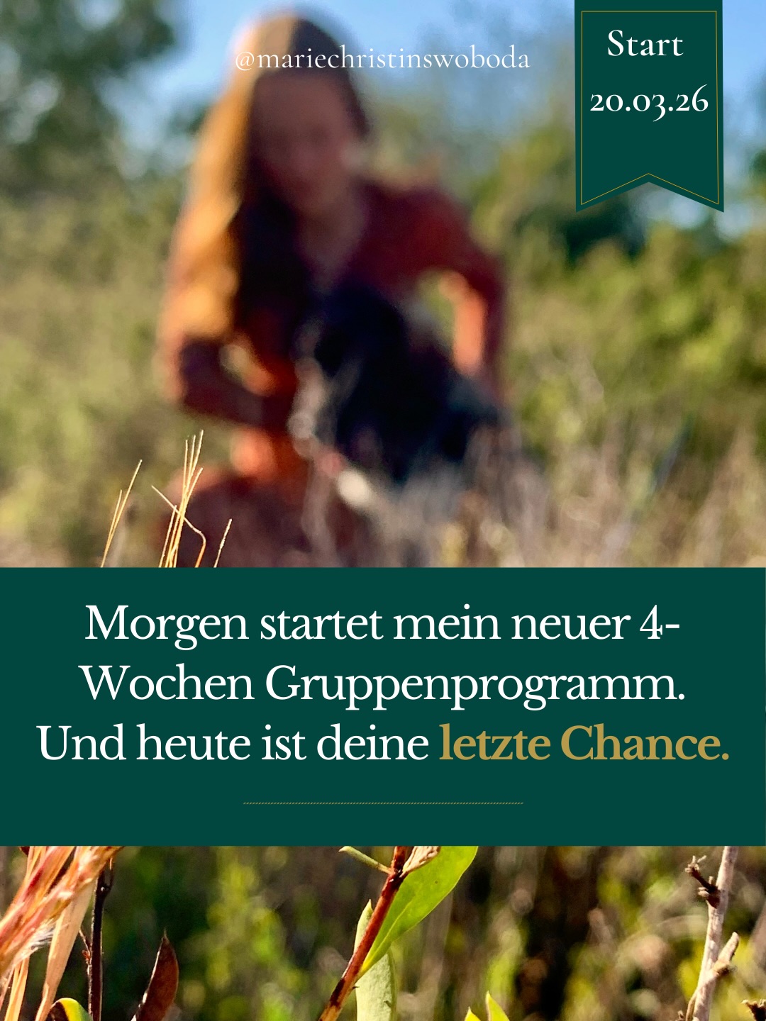 Vielleicht hast du die letzten Tage mitgelesen.
Vielleicht hast du gespürt: „Das bin ich.“
Und vielleicht hast du es wieder zur Seite geschoben und gedacht, ach ich schaff das schon irgendwie.
Ich sage dir: Es wird nicht von allein besser und mehr Training wird nur mehr Druck & Frustration erzeugen.
In meinem Gruppenprogramm „Was dir dein Tier wirklich zeigt.“profitierst du von:
5 Live-Calls + Kickoff Call.
Dem WhatsApp-Community-Austausch.
Deinem persönlichen Workbook.
Ein Raum für Frauen, die ihr Tier nicht kontrollieren,
sondern verstehen wollen. Und bereits sind ehrlich hinzuschauen.
Morgen um 19 Uhr starten wir.
Und wenn du merkst, dass du diese Verbindung nicht länger aufschieben willst,
ist jetzt der Moment.
Kommentiere TIER und ich sende dir alle Infos zum Programm.
#MenschUndTier
#TierverhaltenVerstehen
#BewussteTierhalterin
#Gruppenprogramm
#NervensystemRegulation
Tierkommunikation Gruppenraum
Beziehung zu Hund verbessern
Pferd reagiert auf Energie verstehen
Nervensystem Frau regulieren
Co-Regulation Mensch Tier lernen