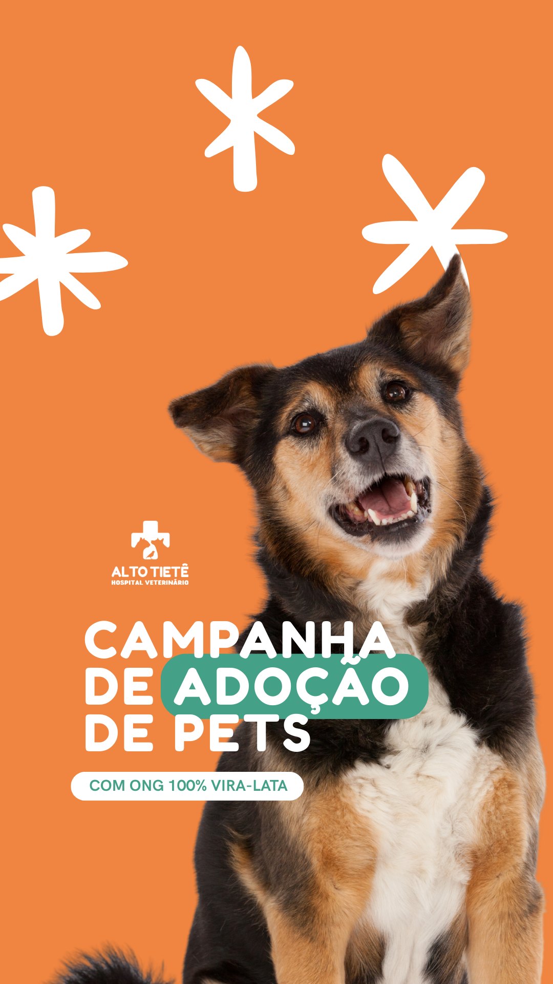 Dar um lar é mudar uma história.
Na ONG 100% Viralatas, muitos pets aguardam por uma segunda chance.
Adotar é um ato de amor, mas também de responsabilidade.
Se você está pensando em ter um pet, considere a adoção.
Fale com a nossa equipe e saiba mais.
WhatsApp: (11) 94117-0339
#adote #ong100viralatas #adocaoresponsavel #hvat #amorquetransforma