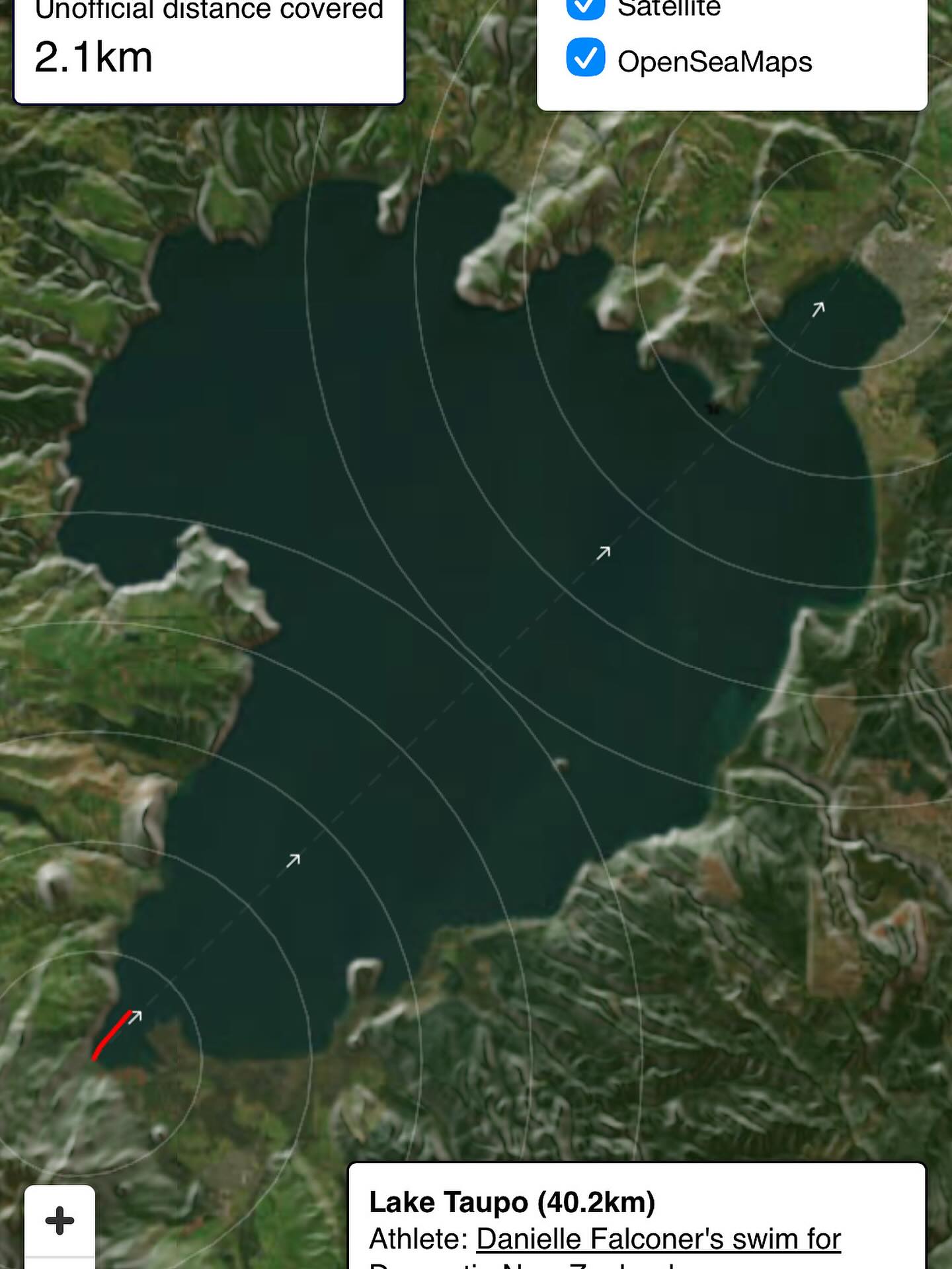 Aaand she’s off! Delayed start of 4.30am…nothing like a bit more anticipation! Follow Dani’s progress at https://livetracking.nz/route/lake-taupo/ Donate https://givealittle.co.nz/fundraiser/danielles-40km-swim-for-dementia-nz