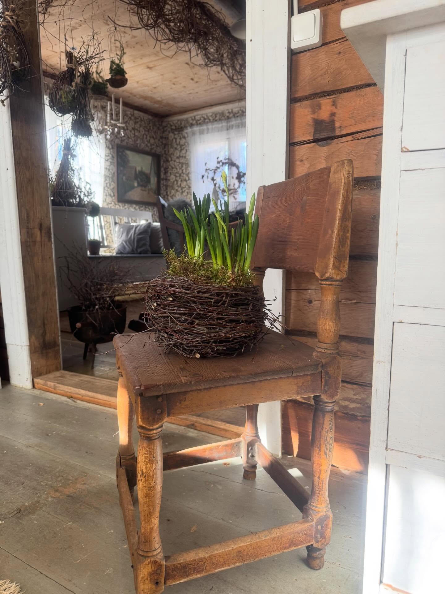 Vanhat tuolit.
Ne vaan puhuttelee mua.
Elettyä elämää. Vähän jo nitisee ja natisee, mutta kauniita.