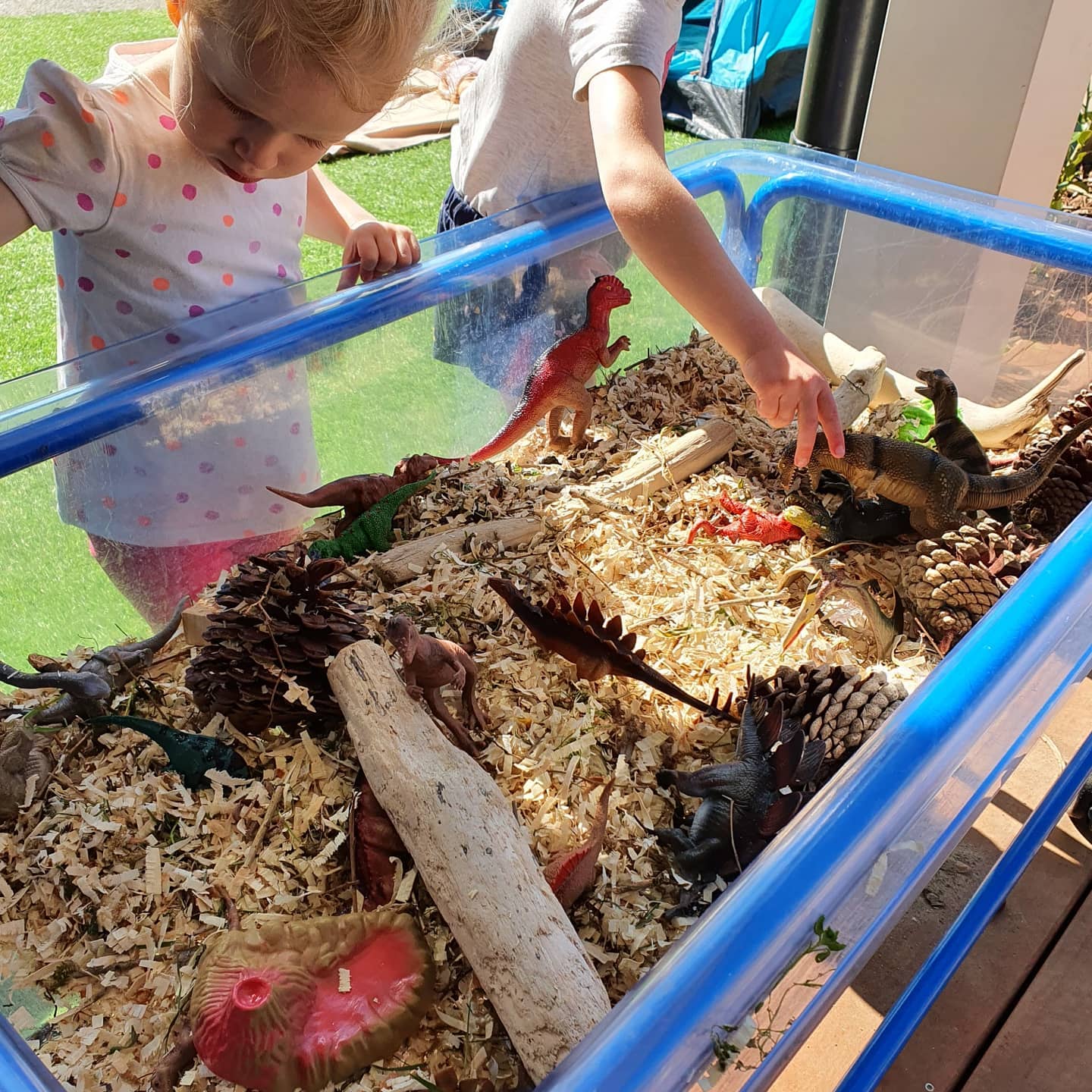 DINOSAURS! Our tamariki have really had an interest in these lately, they have even collaborated together to make a volcano art piece through paper mache, can't wait to see the finished product. It will be a perfect piece to add in their play with the dinosaurs.