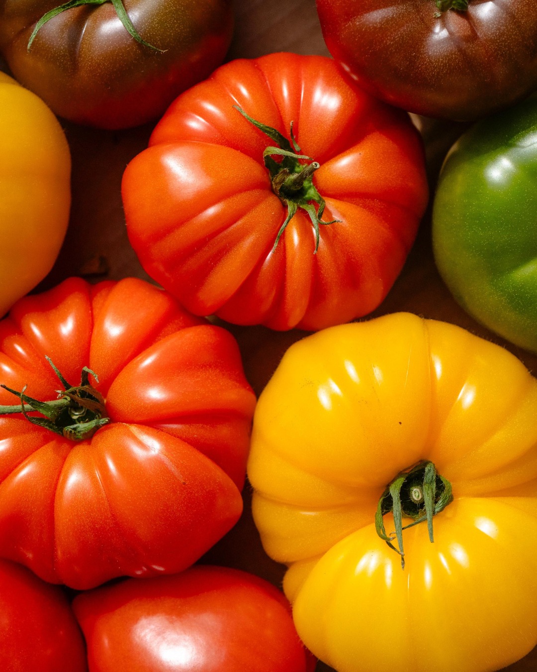 Des entrées qui donnent envie de prendre son temps.
Un saumon confit fondant accompagné de crème d’avocat et pickles d’oignons rouges, une tagliata savoureuse avec roquette, tomates cerise et œufs de caille, et un carpaccio de betterave tout en douceur, relevé par la mousse de chèvre et ses condiments.
Chaque assiette est une petite pause, un moment à savourer sans se presser.
Ouvert du mercredi au dimanche de 12h00 à 14h, et les mercredis, jeudis, vendredis et samedis soirs de 19h à 22h
📍 5 rue Nostradamus, 13680 Lançon-Provence
📞 07 66 57 67 58
🍽️ Réservez votre table : https://octotable.com/book/restaurant/858107/booking/new