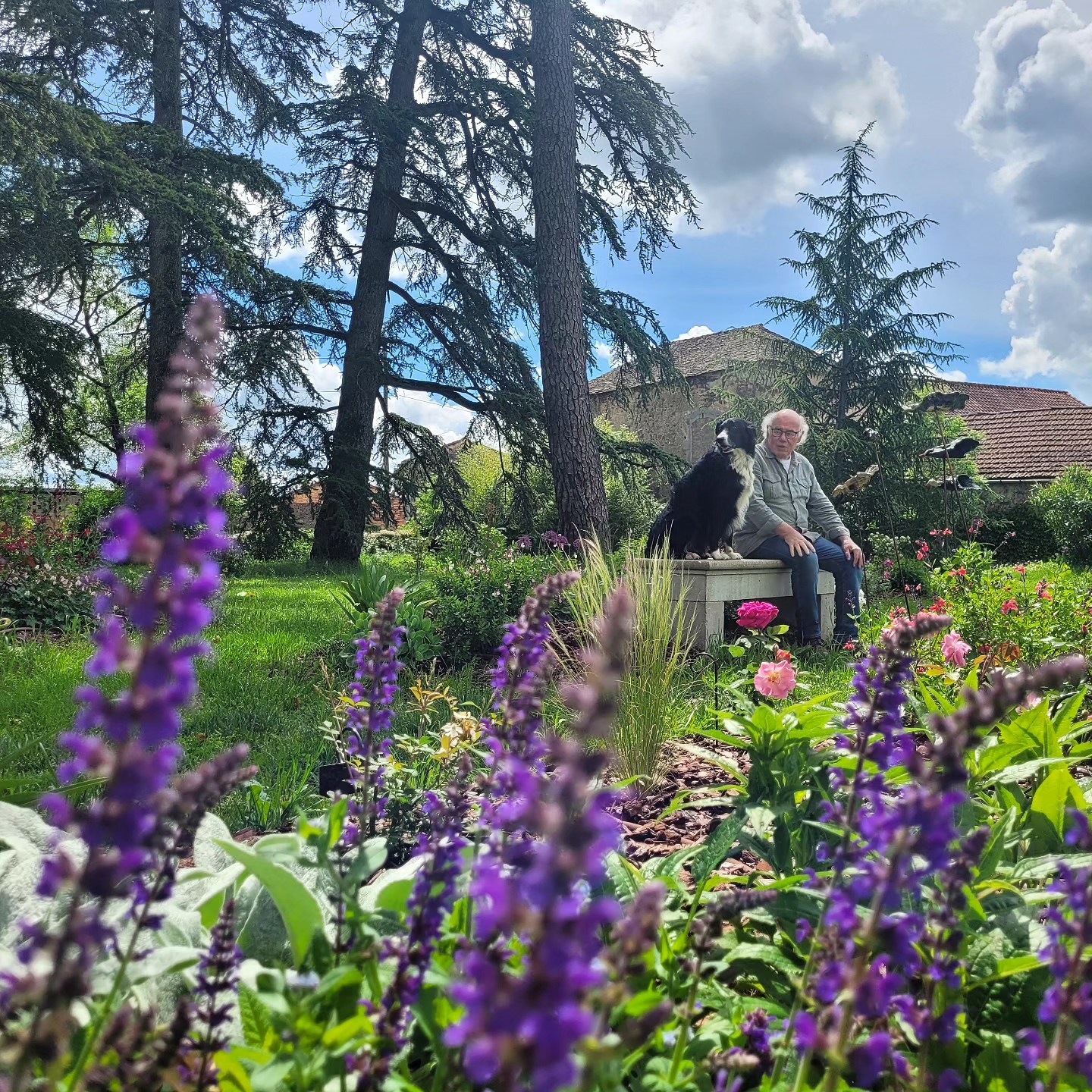 Rozengeur en zonneschijn🌹
27 geurende rozen hebben we geplant. Gebroederlijk naast elkaar vieren ze het verschil. De oudste dateert uit 1879; de jongste uit 2024. Ze variëren van 160 cm tot 40 cm, van bourgondisch rood tot helder wit. Sommige hebben hele grote bloemen, andere kleine trosjes. Allemaal hebben ze klinkende namen: Lavender Dream, Peace & Love, Blue Eyes, Rêve d'Enfants, Mythique... 🍀
Ze moeten nog groeien, maar nu al is het heerlijk mijmeren op het bankje. Links klettert water van een bronzen sculptuur van Joep Coppens in de hardstenen gootsteen die hier ooit in de keuken stond. Rechts streek een vlucht keramische vogels neer gemaakt door @madebyellenjanssen.
Ja, de rozentuin is een wonderlijke, betoverende plek.🩷
Geïnspireerd op de rozentuin van #abbayedebeaulieuenrouergue met rozen gekocht bij kweker @rosesandreeve
--------------------
Petit jardin des rosiers 🌹
Nous avons planté 27 rosiers parfumés. Fraternellement, côte à côte, ils célèbrent la différence. Le plus ancien date de 1879 ; le plus jeune de 2024. Ils varient de 160 cm à 40 cm, du rouge bordeaux au blanc éclatant. Certaines ont de très grandes fleurs, d'autres de petites en groupe. Tous portent de beaux noms : Lavender Dream, Peace & Love, Blue Eyes, Rêve d'Enfants, Mythique... 🍀
Ils doivent encore grandir, mais déjà c'est merveilleux de méditer un peu sur le banc. À gauche, l'eau jaillit d'une sculpture en bronze de Joep Coppens dans l'évier en pierre bleue qui se trouvait autrefois dans la cuisine. A droite, une volée d'oiseaux en céramique d'Ellen Janssen s'est posée.
Oui, la roseraie est un petit endroit merveilleux.🩷
Inspiré de la roseraie de l'Abbaye de Beaulieu-en-Rouergue. Les rosiers viennent du producteur @rosesandree
#rosiers #rosegarden #instagarden #rosesandreeve #rosesofinstagram #roselover #chambresdhotesdecharme #bedandbreakfast #tarntourisme #chambredhotesdecharme #holidayinfrance #boutiquehotel #maisondhotes #frenchholiday #frankrijk #vakantiefrankrijk #ohlechateau #frenchsummer #slowtourism #slowliving #segalatarnais #bijzonderovernachten #zomervakantie #elizawashere #suddelafrance #instamood #beautifuldestinations #voyageoccitanie #hello_france