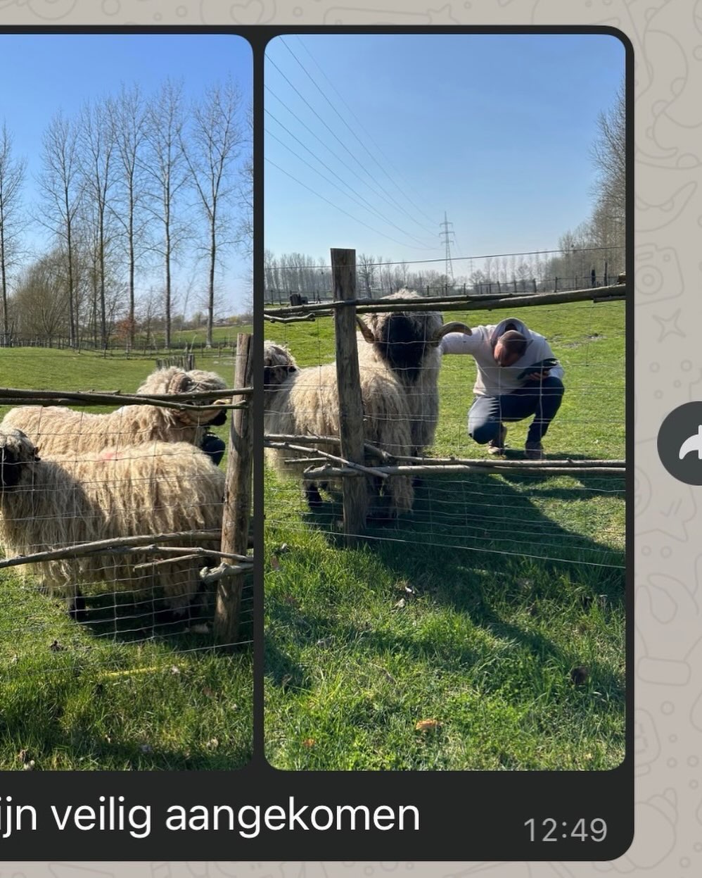 Mixed feelings … nieuwe thuis voor Lars en Milou in het prachtige Hasselt