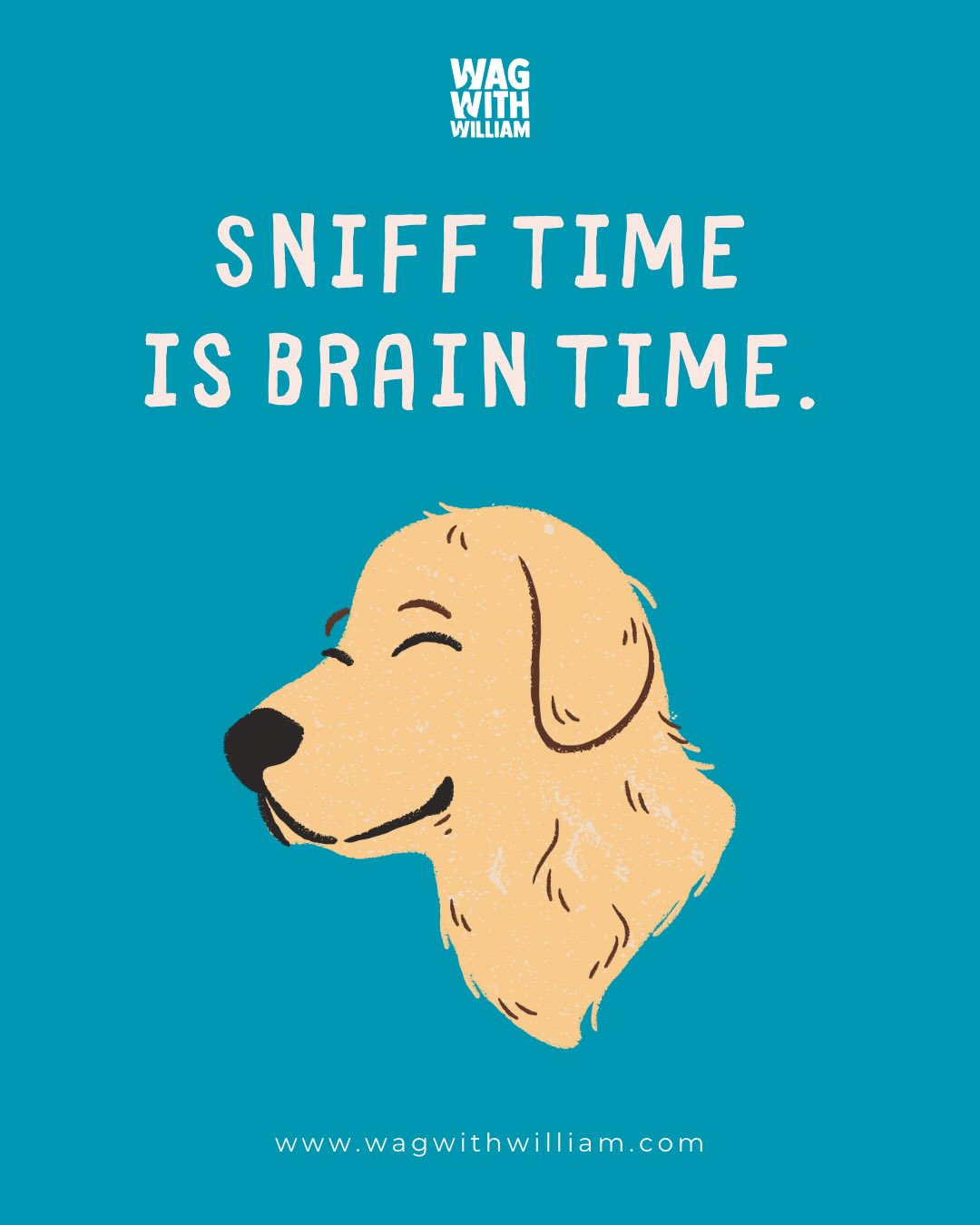 Sniff time is brain time #WagWithWilliam #FearFreeTraining #PositiveReinforcement