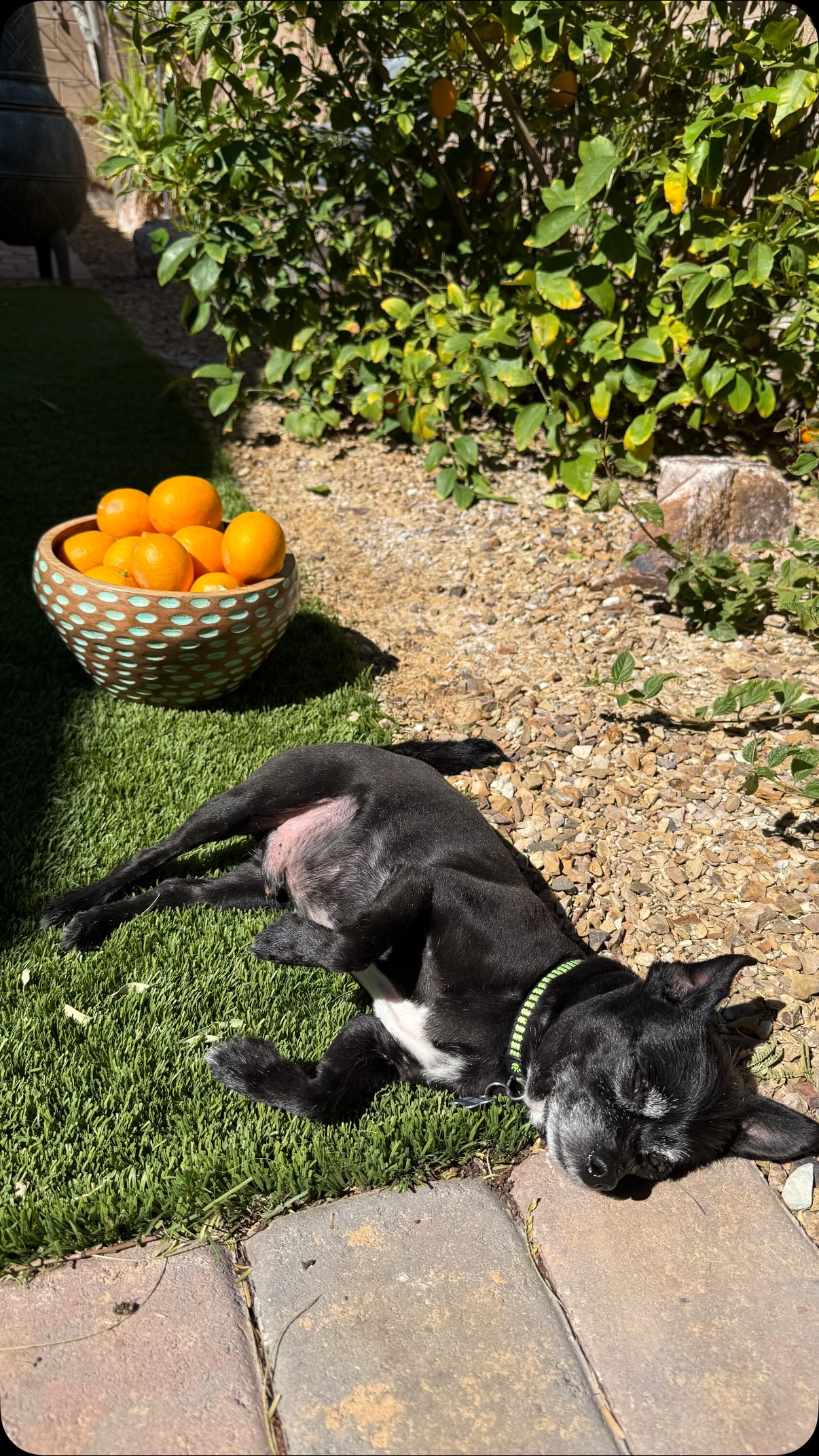 In subconscious journeying, we often travel back to younger versions of ourselves - meeting our inner child in moments that are ready to be seen, understood, and healed.
And we travel forward too - connecting with our future self for wisdom, clarity, and guidance.
Itās incredible what surfaces in these spaces. The insights, the emotions, the remembering⦠it never ceases to amaze me.
If youāve been feeling stuck in the in-between and craving answers, clarity, or direction; there is sooo much available within you.
Iām here to guide you inward š¤
Because life is far more magical than weāve been taught⦠and linear timelines donāt exist š«