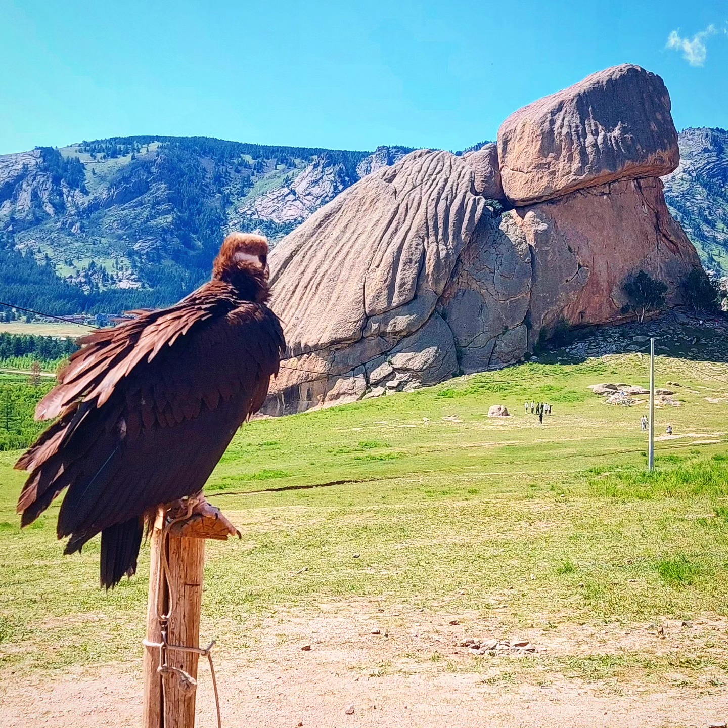 Wir starten von Ulaanbaatar in Richtund Khövsgöl See. Es sind 2 Zwischenübernachtungen bis zum Ziel nötig. Hier einige Eindrücke von der Anreise.... 👍🙃