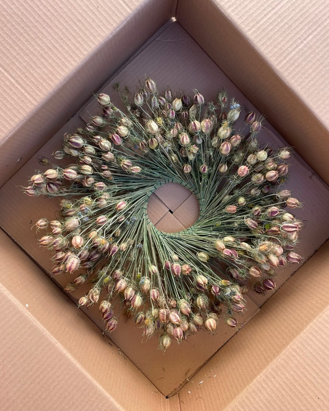 TOMORROW! Wreath-Genius Phoebe will be in Healdsburg at Barndiva for the Holiday Makerās Market with everlasting floral wreaths and our farm-grown chile pepper products (hot sauces, chile powders, dried chiles). Keep your holiday gifting dollars in the community! See you there!