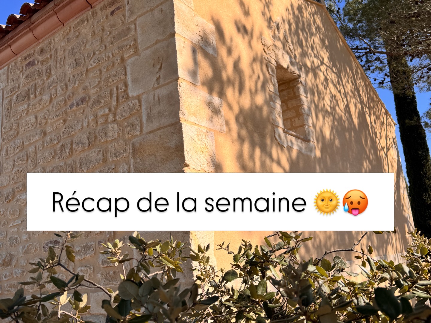 Récap de la semaine 🌞
Équipe 1
Photos 1 et 2 📸
L’équipe de Toto et Kiki avance à grands pas sur le chantier d’Aubais !
Encore une bonne quinzaine de jours avant de découvrir le résultat final de ce chantier colossal 💪
Équipe 2
Photos 3 et 4 📸
Du côté de Dydou et César, le chantier de Domessargues a bien avancé 👏
Je ne vous montre pas tout tout de suite …
Résultat final prévu en milieu de semaine prochaine… on a hâte !
Côté administratif
Cette semaine, focus sur :
* Le flocage de nos véhicules 🚗
* La création de nos tee-shirts 👕
* L’optimisation de notre site internet 💻
Plus d’informations sur notre site internet www.lartistepierres.com
DEVIS GRATUIT
#artisanfrancais #travauxexterieur #aubais #domessargues #lartistepierres