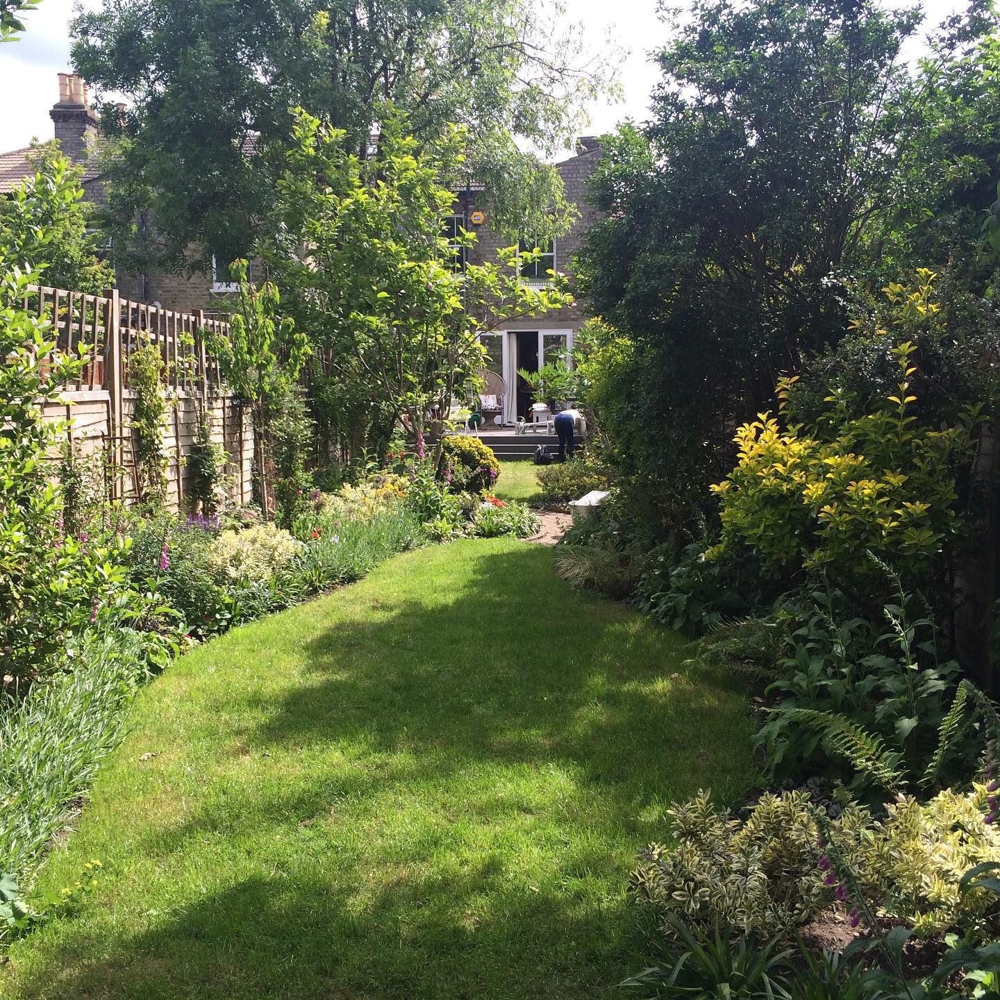 Swipe to see the before.. Almost can’t believe this is the same garden 🌱🍃 #gardentransformation #londongarden #beforeandafter #garden #plants #flowers #spring