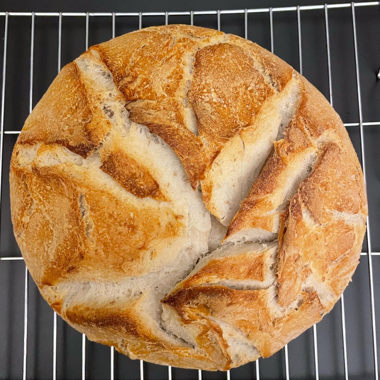 And finally: Pane Casereccio: our first home-made sourdough bread in Tropea: the sourdough starter over the last few days, and following a twice-daily feed, went wild, so decided to give it a go and made a light sourdough bread for breakfast - waiting to be smothered with a thick layer of nutella 🥰 #panecaserecciocalabrese #panecasereccio #sourdoughbread #lievitomadre #sourdough #mytropeakitchen #baking breads #sourdoughstarter #dutchoven