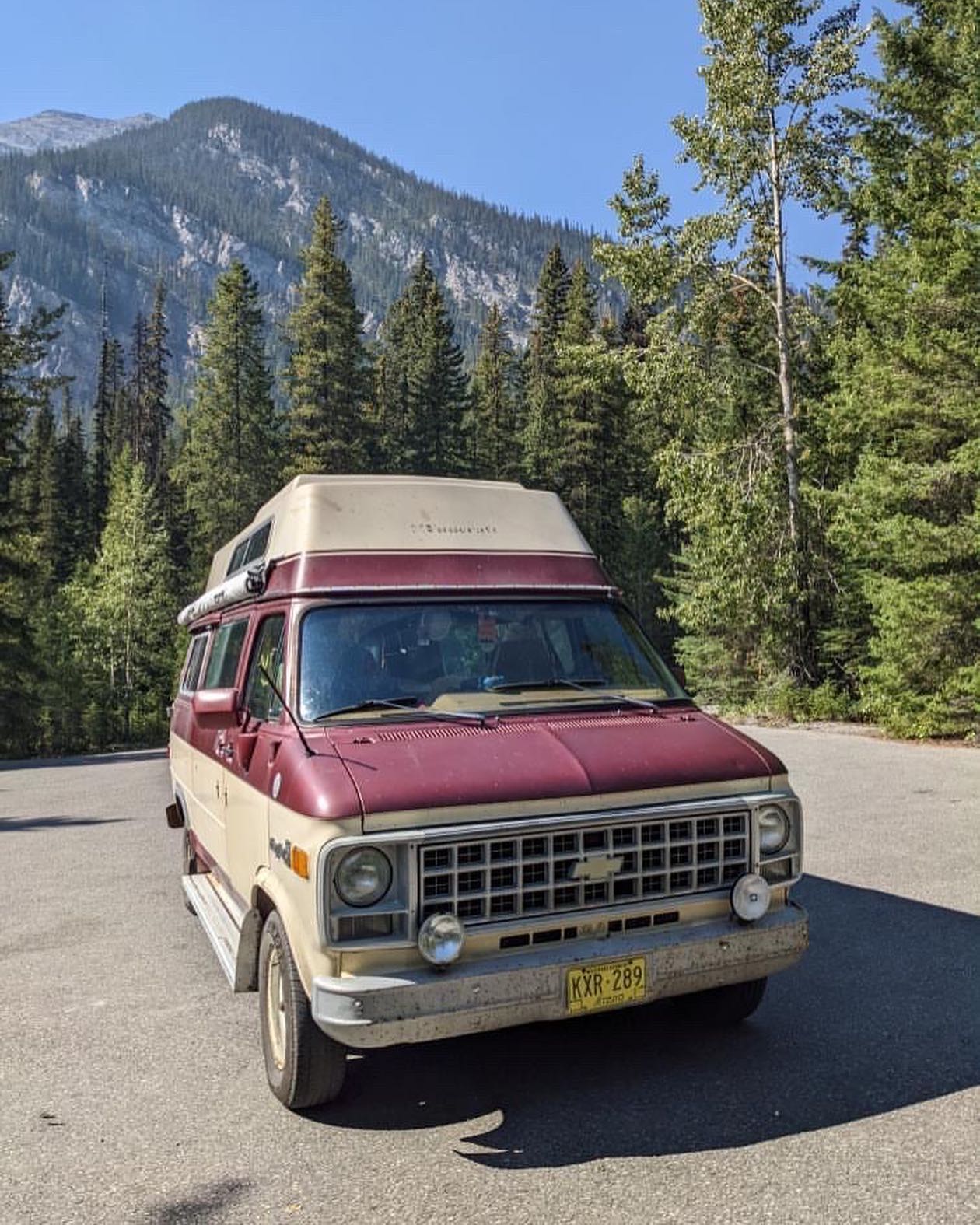 Just now realizing there are no interior Doug pics! Voila
#van #vanlife #campervanconversions