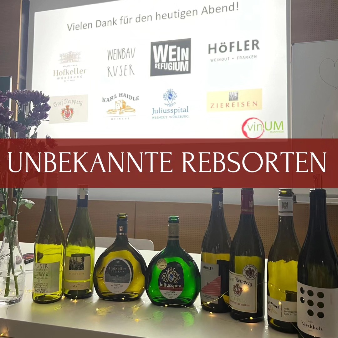 Am 16. Mai haben wir uns unter dem Motto „Unbekannte Rebsorten“ Rebsorten gewidmet, denen wir in der Vergangenheit zu wenig Aufmerksamkeit geschenkt haben.🥂
Und so haben wir jeweils zwei Weine aus den Rebsorten Gutedel, Silvaner, Schwarzriesling und Lemberger bzw. Blaufränkisch vorgestellt:
1. Weinbau Ruser Gutedel RK 2022
2. Weingut Ziereisen ST 21 (Steinkrügle)
3. Staatlicher Hofkeller Würzburger Stein Silvaner trocken 2022
4. Juliusspital Rödelseer Küchenmeister Silvaner trocken 2022
5. Weingut Höfler Michelbacher Schwarzriesling trocken 2022
6. Weingut Graf Neipperg Neipperg Schwarzriesling trocken 2015
7. Weingut Karl Haidle »Kalk & Ton« Lemberger trocken 2022
8. Franz Weninger Ried Kirchholz Blaufränkisch trocken 2017
Der erste Flight zeigte dabei eindrücklich die Unterschiede zwischen dem Ausbau im Edelstahltank und im Holzfass, wohingegen der zweite Flight den Fokus auf zwei charakteristische Bodenarten Frankens (Muschelkalk und Gipskeupers) legte. Darauf folgte ein spannender Vergleich zweier Schwarzrieslinge, einmal jung aus Franken und einmal gereift aus Württemberg sowie ein kleiner Überblick über die enorme stilistische Bandbreite des Lembergers bzw. des Blaufränkisch.
In einem kleinen Quiz am Ende der Verkostung haben wir das neugewonnen Wissen unserer Teilnehmer auf die Probe gestellt, eine Flasche Wein verlost und die beliebteste Rebsorte des Abends gekürt.
Wir danken für die Unterstützung dieser schönen Probe und freue uns auf die nächsten Events!
Cheers, euer vinUM-Team🍷
@weingut_ruser, @weingut_ziereisen @staatlicherhofkeller @juliusspital_weingut_wuerzburg @weinguthoefler @weingutgrafneipperg @ritzling @weinrefugium.de