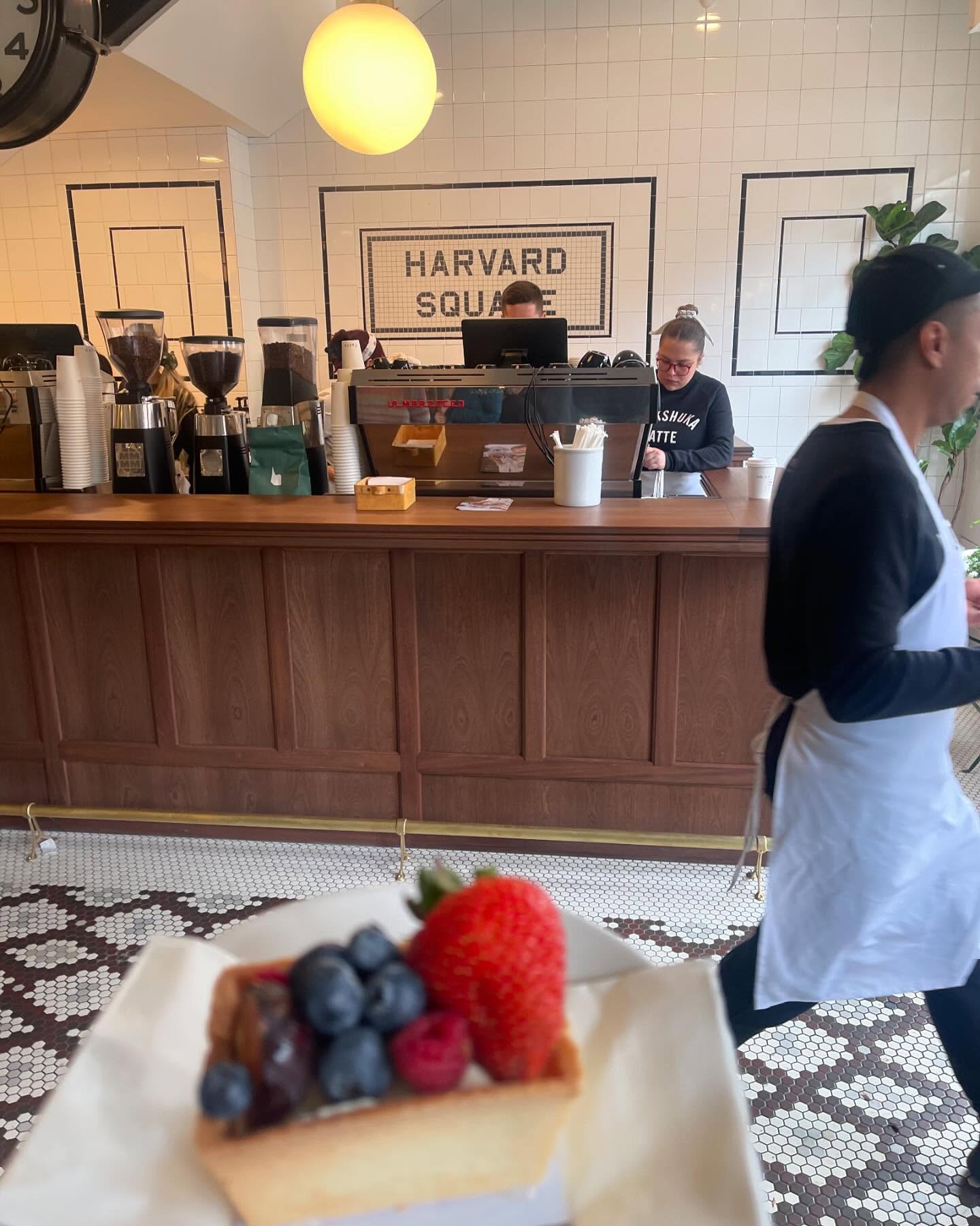 Harvard University Cambridge