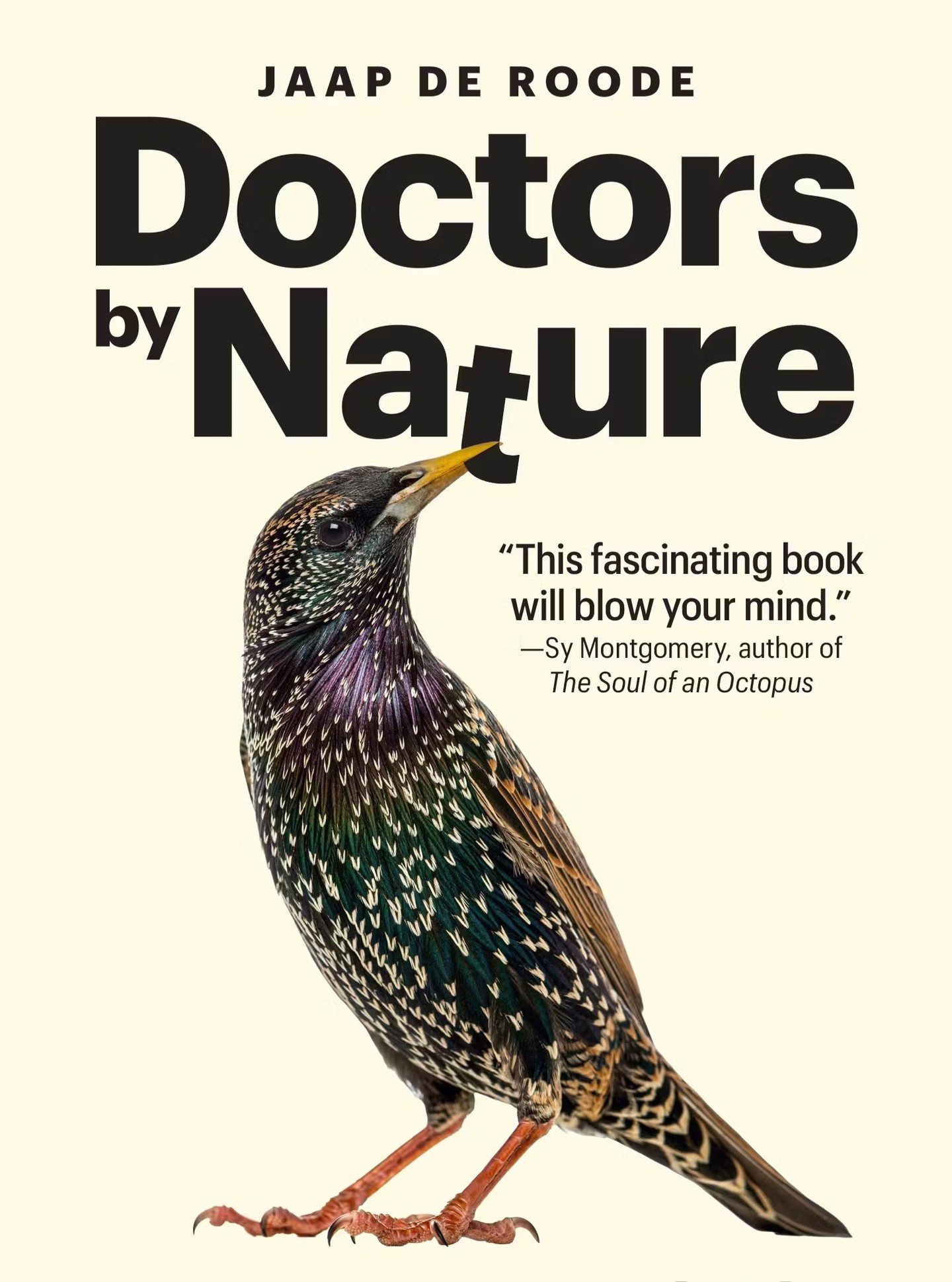 Delighted to share that the paperback version of my @princetonupress book #doctorsbynature will come out on 15 September. I love the new cover. Starlings were among the first birds for which scientists showed that they line their nests with aromatic plants to keep blood-sucking parasites away from their chicks.
#zoopharmacognosy
https://press.princeton.edu/books/paperback/9780691239354/doctors-by-nature