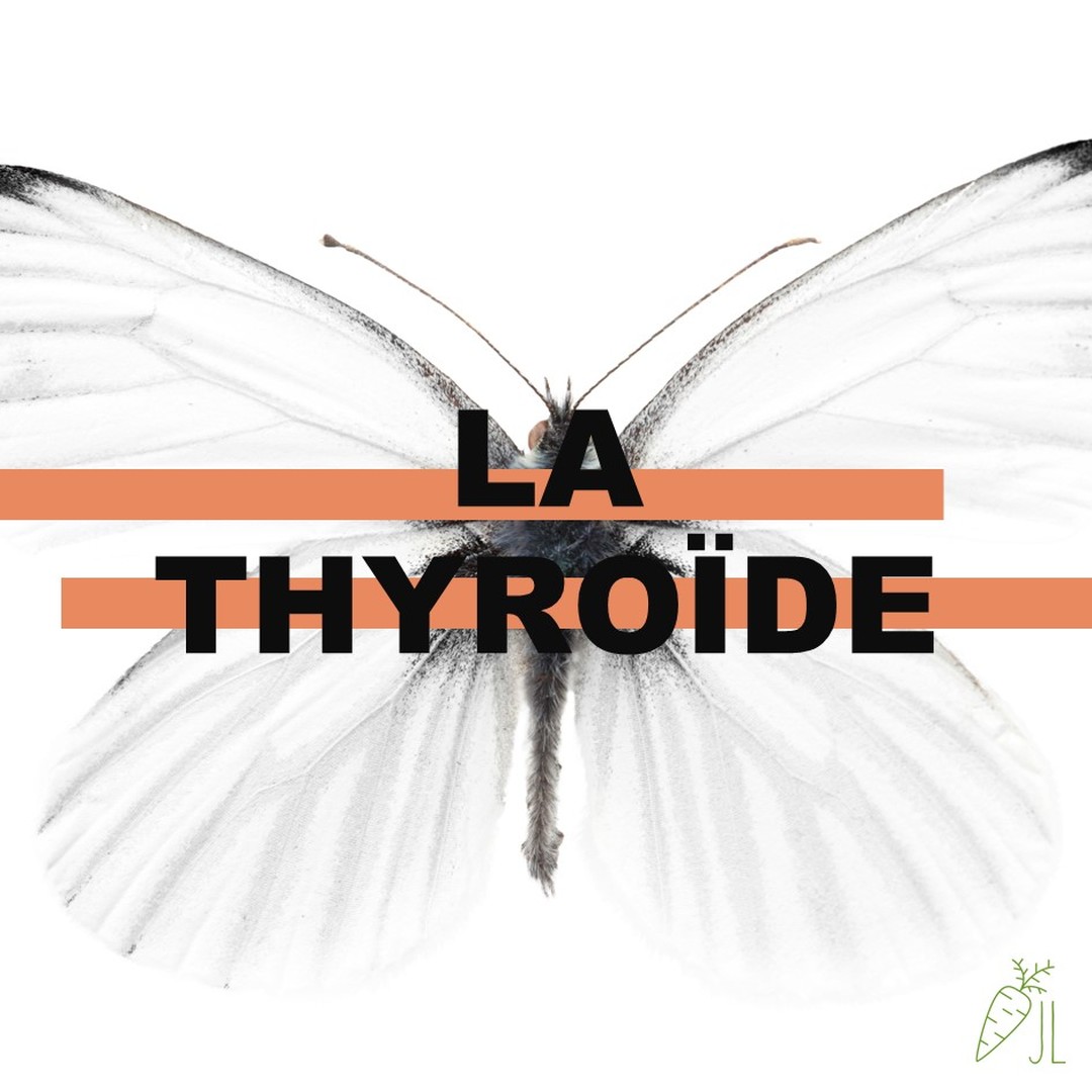 🌟 Plongez dans le monde fascinant de la thyroïde avec moi !
Saviez-vous que cette petite glande en forme de papillon 🦋 joue un rôle énorme dans votre énergie, votre humeur et votre métabolisme ?
💪 Découvrez tout sur la TSH, la T4 et la T3, et comment chouchouter votre thyroïde pour une santé optimale ! 💙
#Santé #BienÊtre #Énergie #Métabolisme #LetsTalkThyroid #thyroide #naturopathie