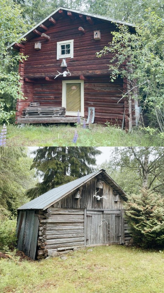 Episode 3 unserer Serie: Häuser in Schweden
🫎
Eine eigene Jagdhütte mitten im Wald.
Umgeben von Natur, fernab vom Alltag.
In vielen Regionen Schwedens ist das Jagdrecht eng mit dem Land verbunden oder über eine Jagdgemeinschaft organisiert.
Gerade größere Waldgrundstücke bieten nicht nur Ruhe und Rückzug –
sondern auch langfristiges Potenzial.
Ein Ort für Naturverbundenheit, Tradition und Weitblick.
👉 Mehr Informationen zu diesem Objekt finden Sie unter www.inga-nord.de
Wäre das etwas für Sie?
🇳🇱
Episode 3 van onze serie: huizen in Zweden
Een eigen jachthut midden in het bos.
Omringd door natuur, ver weg van de drukte.
In veel regio’s in Zweden is het jachtrecht verbonden aan het land of geregeld via een jachtvereniging.
Een plek voor natuur & traditie.
👉 Meer informatie vind je op:
inga-nord.de
Zou dit iets voor jou zijn?
#jagdinschweden
#jachtinzweden
#waldhaus
#hausinschweden #wmh