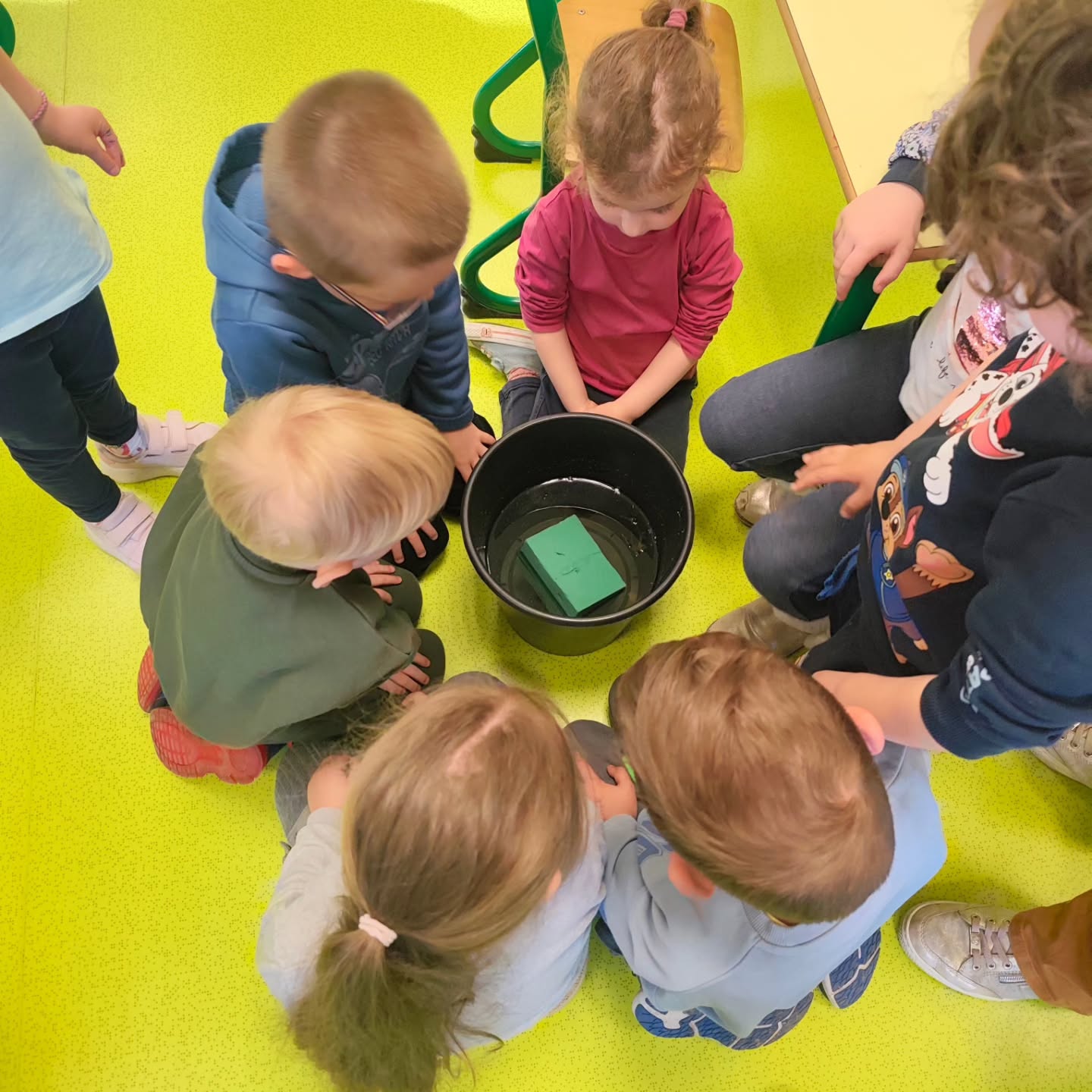 💐 Une nouveauté chez pétales d'émotion ! 💐
Grâce à une demande de Sandrine il y a quelques semaines, nous avons créé les ateliers maternelles !
Un grand merci à toutes les trois pour votre accueil à l'école de Torchefelon, et merci à nos 24 petits élèves pour leur accueil, leurs câlins, leurs 'je taime' c'était un moment plein de tendresse ❤️
🩷Nous allons donc proposer ces ateliers dans les écoles alentours. Uniquement aux maternelles, jusqu'à 6 ans environ,
Nous avons concocté (grâce à Virginie) un format d'une matinée pour 25 éleves maxi (8H30-11H)
Temps d'accueil classique, là, la maîtresse évoquait les émotions de chacun ce qui m'a permis de rebondir sur le nom du magasin et les raisons d'offrir des fleurs dans la vie, la joie, la tristesse, le sentiment amoureux... 🌹
Présentation rapide de notre magasin, de l'histoire de notre métier avec des fiches pratiques pour illustrer.
Puis répartition en 3 groupes, un atelier tenu par Marlène, l'A.T.S.E.M dont nous avions bien besoin :) sur un jeu de reconstitution d'une fleur, un groupe sur le piqué de fausses fleurs tenu par Virginie et enfin un atelier fleurs fraîches tenu par mes soins.
Environ 15-20min sur chaque atelier, ce qui nous à mené à la récréation de 30min , Merci pour le café !
Et enfin nous avons planté des primevères, pensées et aromatiques dans les bacs du jardin de l'école durant 30min.
Après des conseils pour l'entretien, le clap de fin est arrivé et nous sommes parties sous des bravos et des lancés de bisous !
Encore merci à la maîtresse, son équipe, à l'école pour son accueil et au sou des écoles pour le financement de ce joli moment de partage 🙏
Nous espérons pouvoir refaire ceci régulièrement !
🌹🌷🪷🌸🏵️💮🪻🌹💐🌺🌷🪷🌸💮
#petalesdemotion
#lachapelledelatour
#fleuriste
#ecole
#atelierfloral