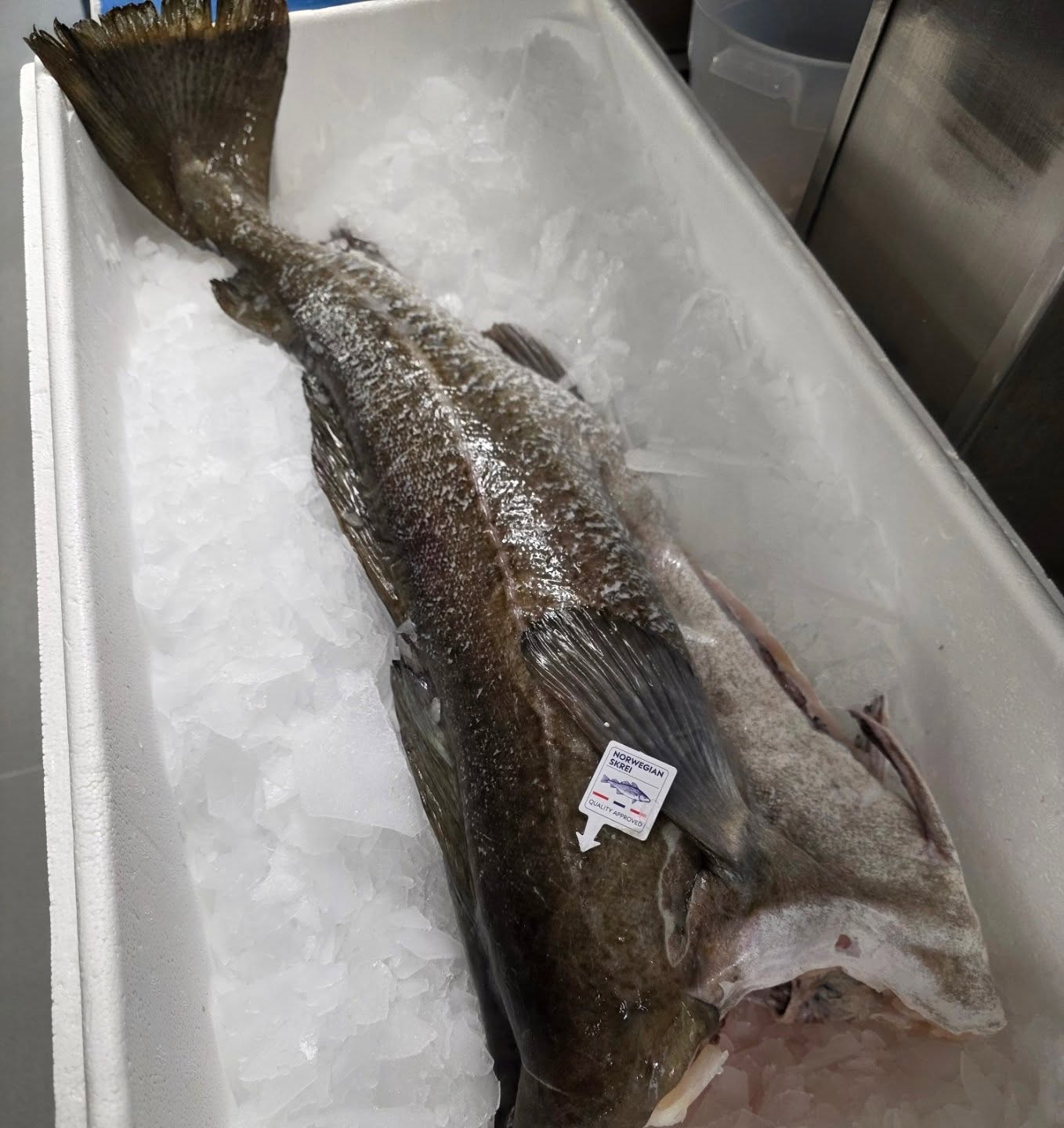 👑 The undisputed King of Cod 👑
Have you tried it yet!?
Norwegian Skrei (sk-rey) is top-shelf cod 🐟 — forged by its incredible journey through icy Arctic currents ❄️🌊. This seasonal delicacy delivers brilliant white, thick-cut flakes that are meaty yet beautifully tender 🤍
It really is something special… absolutely awesome! 🔥