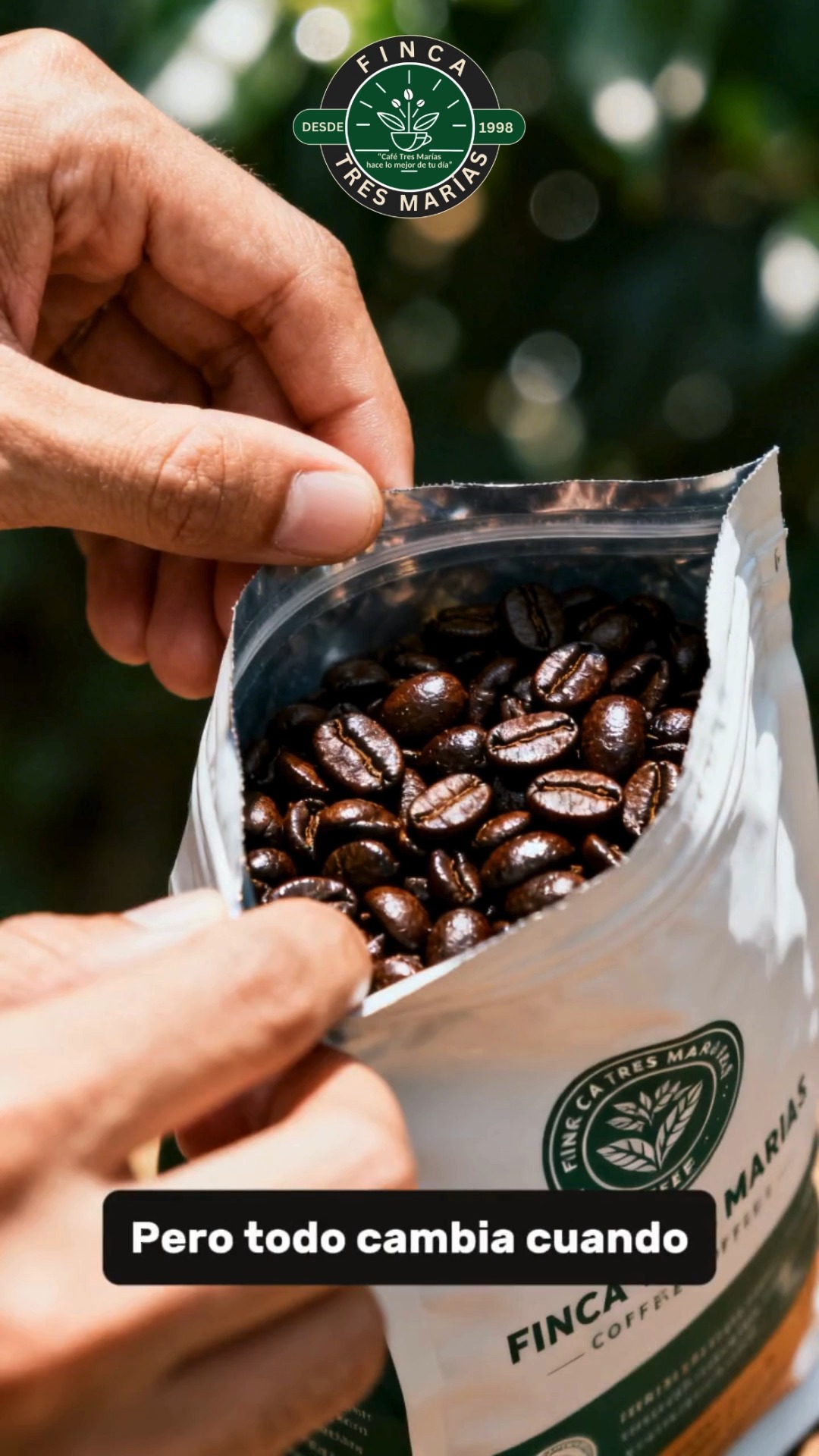 A veces no necesitas más…
solo una buena taza de café. ☕
Finca Tres Marías
Escríbenos y pide el tuyo por WhatsApp.