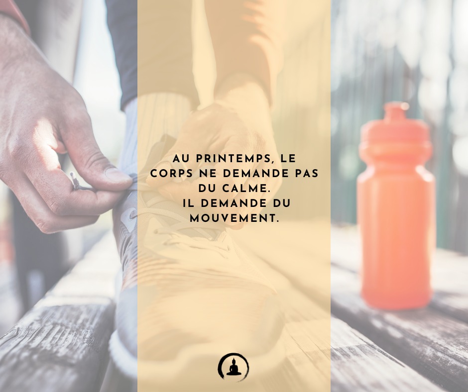 Au printemps, le corps ne demande pas du calme.
Il demande du mouvement.
Programme sur mon site
https://www.cabinet-zengarden.org/programmes