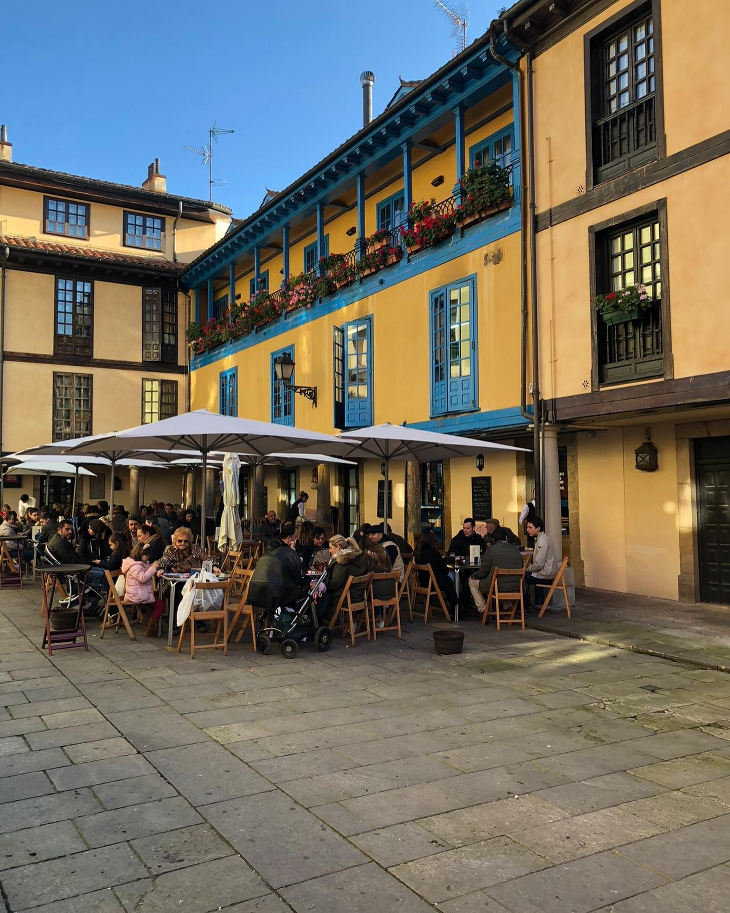 Oviedo ❤️🍏
#oviedo #asturias #españa #sidra #sidranatural #cider #naturalwine #escanciar #escanciador