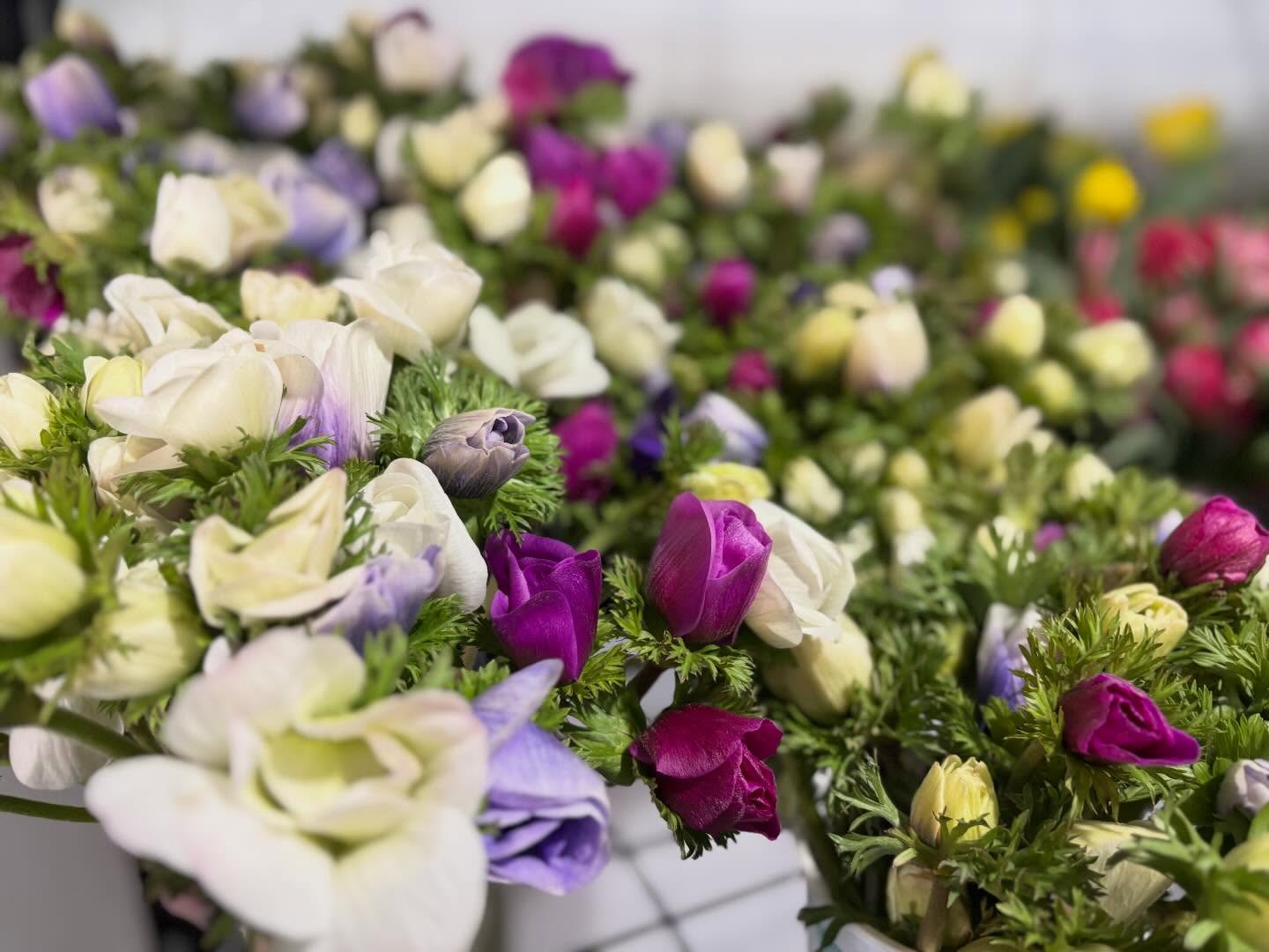 Happy Spring!
Wow, it has been a long time coming this year!
We are hoping to get the first flower bundles into your hands sometime this coming week and have exciting things lined up for Easter and Passover weekend. I can’t wait to be showing you more armloads of blooms!