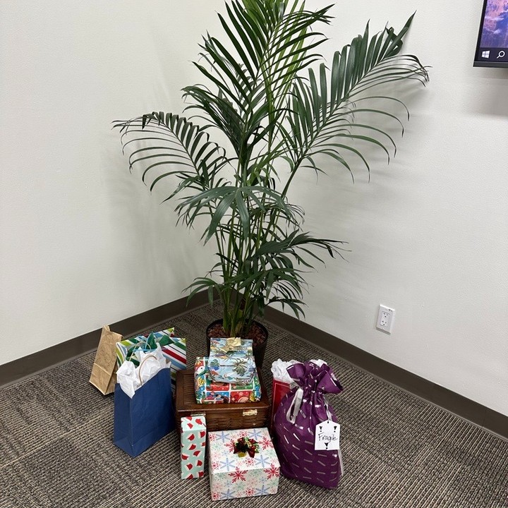 π
β¨ Spreading the joy of the season with The Santa Cause at Alpha & Omega! π
Our California Christmas tree filled with presents has our office filled with Christmas spirit! ππ΄ Join the Santa Crew in sharing your festive plans below and let's spread positivity together! π€Άπ
#TheSantaCause #TheSantaCrew #nonprofit #charity #huntingtonbeach #orangecounty #losangeles