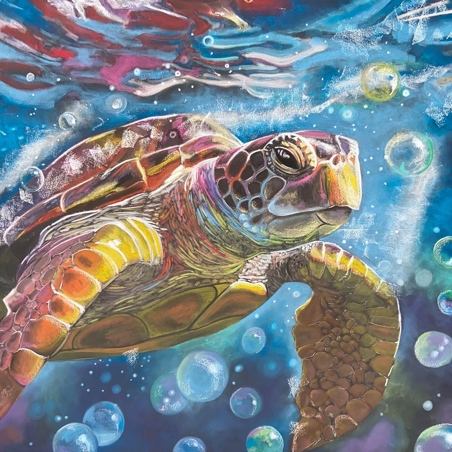 Did you know that four different types of sea turtles are endangered or threatened in California? I chalked this original piece at the San Diego County Fair with the theme “Get Out There!” in the hopes of bringing awareness to these cute little guys. 8x8’ over 8 hours 🌊 (swipe for progress shots)
#sandiegocounty #sandiegocountyfair #sandiegocountyfair2023 #sdcf #sdcf2023 #sandiegochalkart #sandiegochalkartist #socalchalkart #socalchalkartist #chalkart #streetpainting #chalkmural #seaturtle #endangeredspecies #seaturtleart #seaturtleconservation #seaturtlelove
