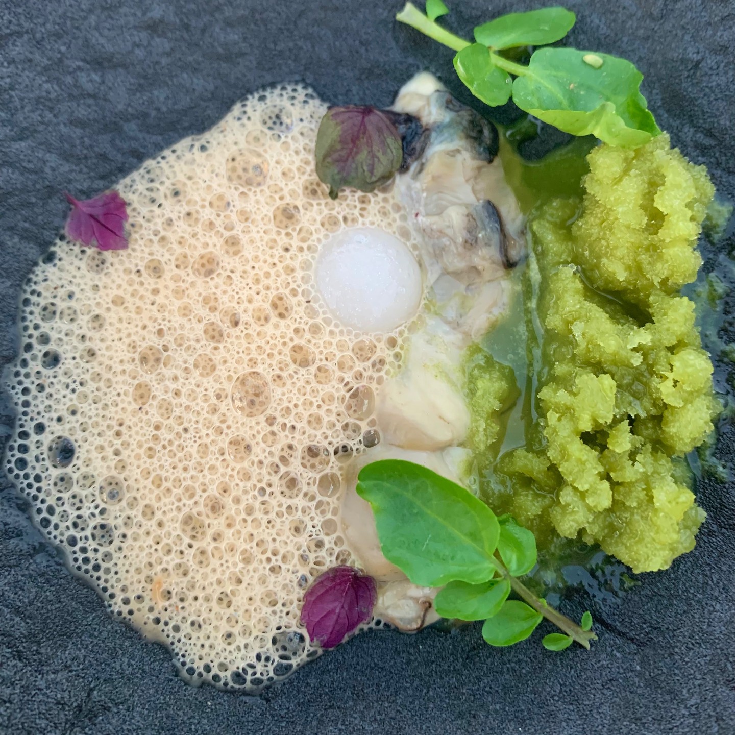 @hytra_restaurant #athens traditional recipes reviewed in a contemporary way. the view on #partenon by night and the erbs garden give you the sensation of the novelty which meets history remaining completely in line with the concept of the restaurant. Notes: excellent cocktails paring #hytrarestaurant #athens @michelinguide #1michelinstar #2025 #2024 chef George Felemegkas