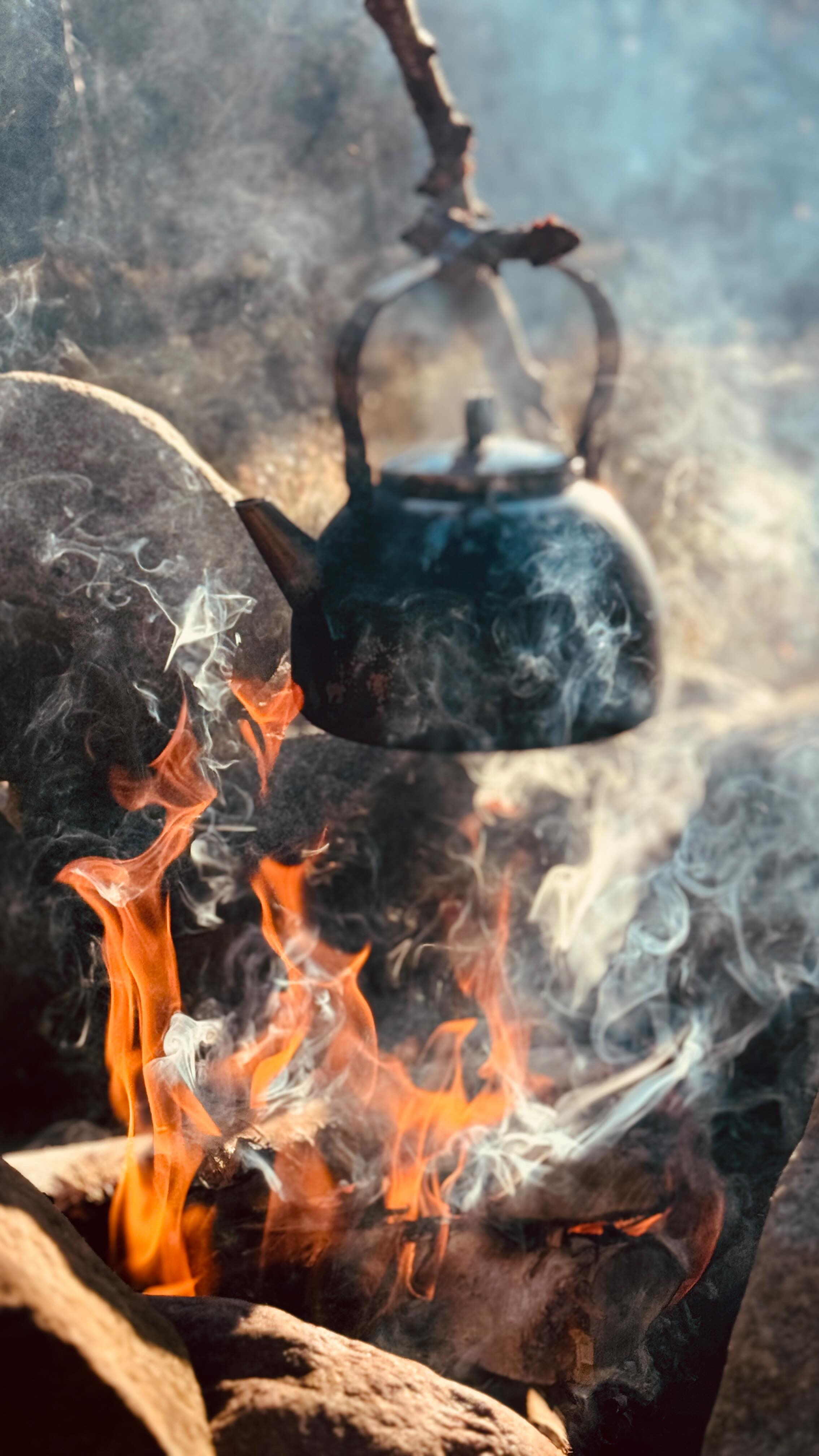 Last of the season wood delivery
#firewood #firewoodstorage #firewooddelivery