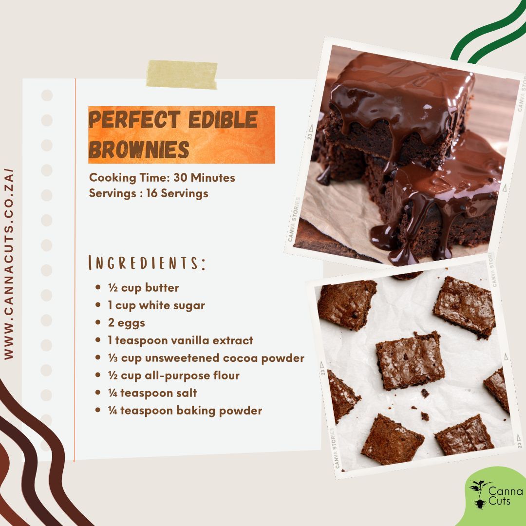 All you need is a little canna butter and then it's this easy. Stay tuned to learn how to infuse your own!
Grow your own. Then bake your own! with clones from www.cannacuts.co.za
#homegrown #cannacuts #brownies