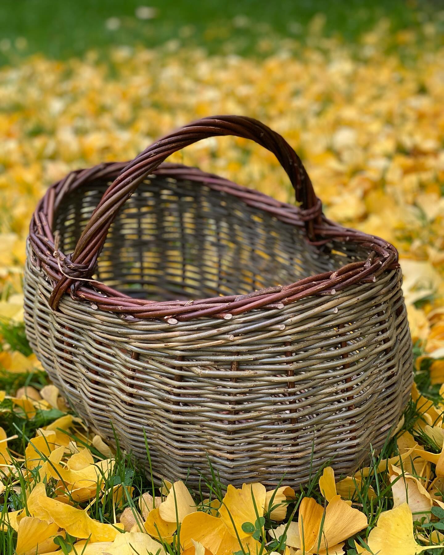 This way or that way?!
Twins but not quite.
The first curvy lady I made a couple of years ago when I fell in love with the work of @maytovelindas . Thankfully I wrote a recipe sheet out for it and so I have been able to make it again without too much phaff and play with the curves!
I like them both ways at the moment, they are very huggable baskets whichever way they curve!
Find one or the other along with myself at @makesouthwest this Saturday 9 Nov and @cruxcraftfair 22-24 Nov.