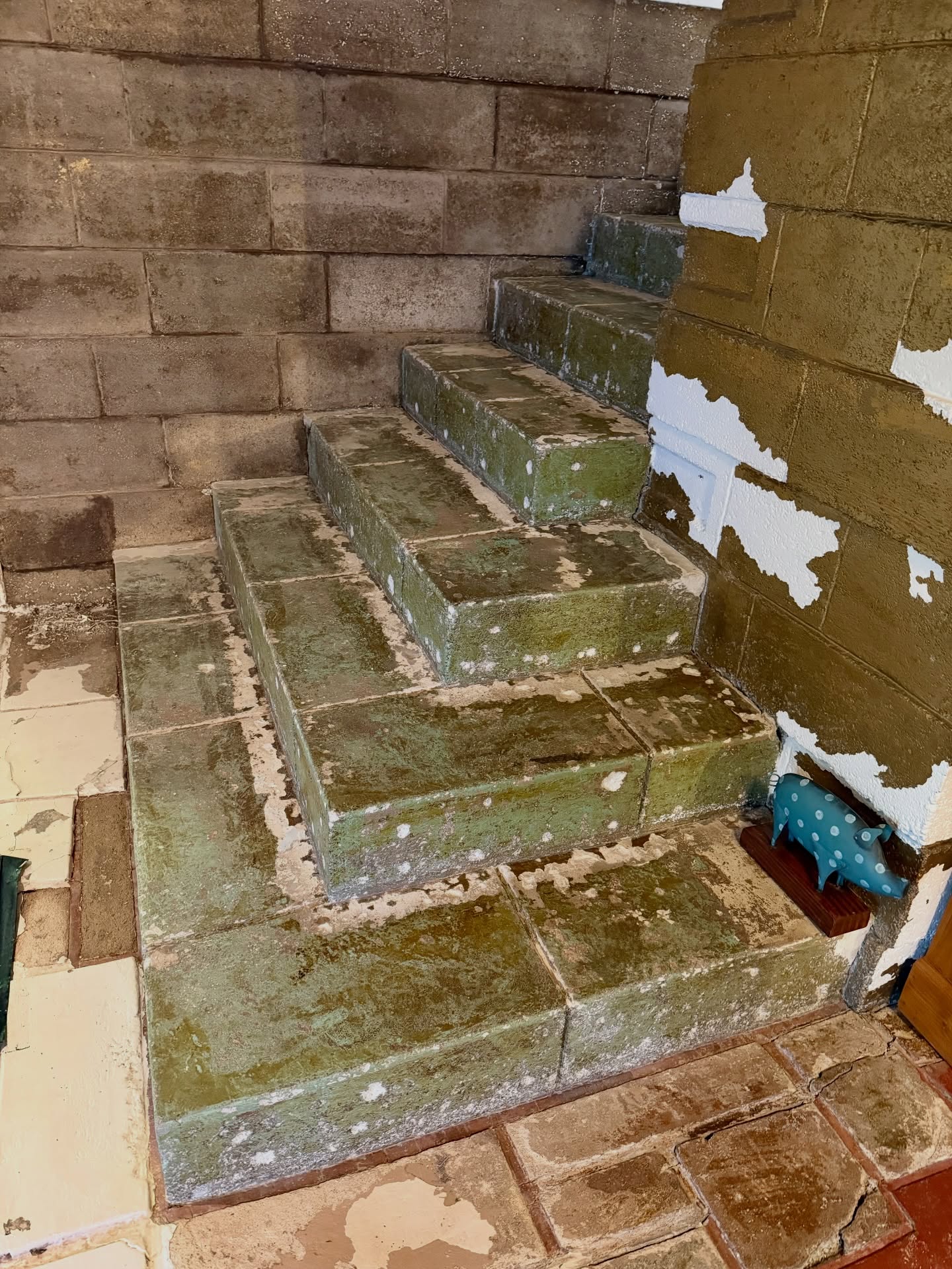 Stairs restoration progress. Back wall fully restored to original color. Stairs white paint removed (green color is carpet glue). Gold wall is from 30’s remodel but will probably be partially preserved.
#bollmanhouse #lloydwright #architecture #restoration #textileblock