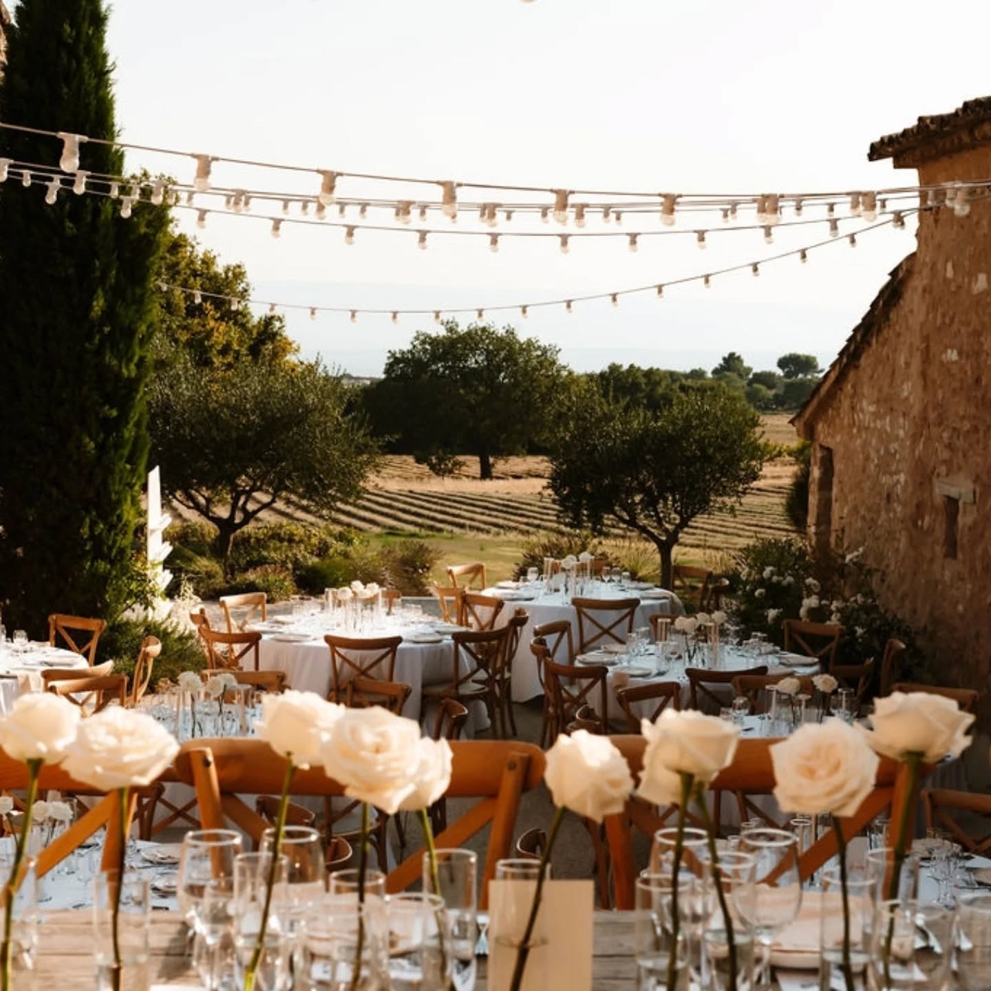 ☀️ M & D ☀️
09.08.2025
Des fois, simple c'est très joli aussi ✨️
@masdeflorette
@homesweetevent_collection
@pistouetromarintraiteur
@caravanepalace_events
@_aelle
#fleuristeevenementiel #fleursmariage #frenchweddings #mariageenprovence #weddingprovence